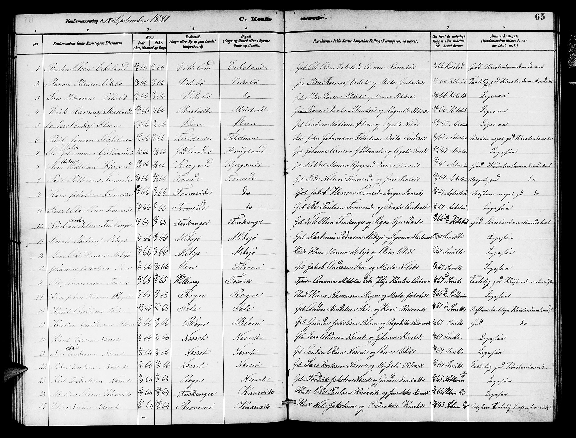 Herdla Sokneprestembete, SAB/A-75701/H/Hab: Parish register (copy) no. A 2, 1881-1888, p. 65