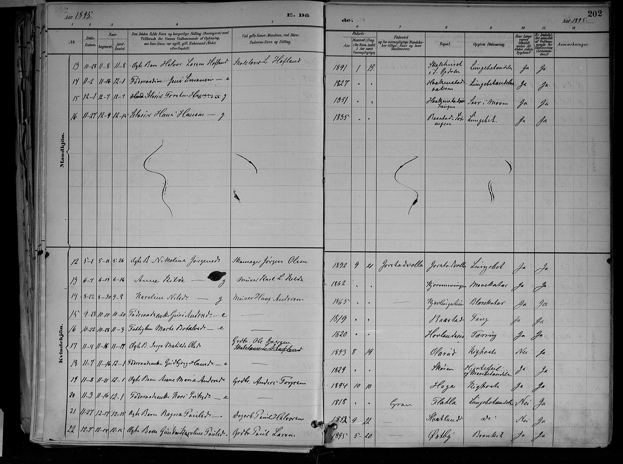Jevnaker prestekontor, SAH/PREST-116/H/Ha/Haa/L0010: Parish register (official) no. 10, 1891-1906, p. 202