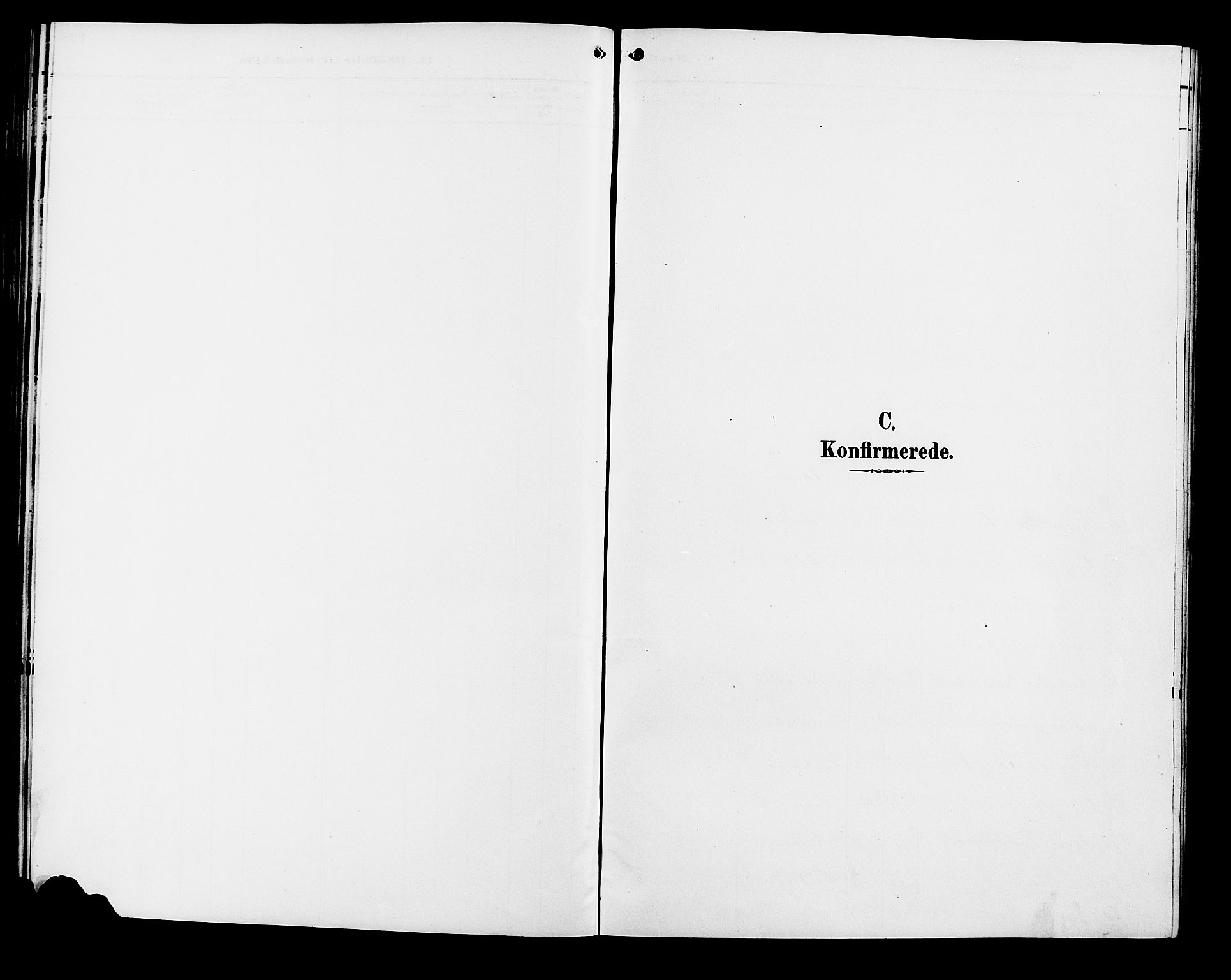 Vang prestekontor, Hedmark, SAH/PREST-008/H/Ha/Hab/L0013: Parish register (copy) no. 13, 1890-1899