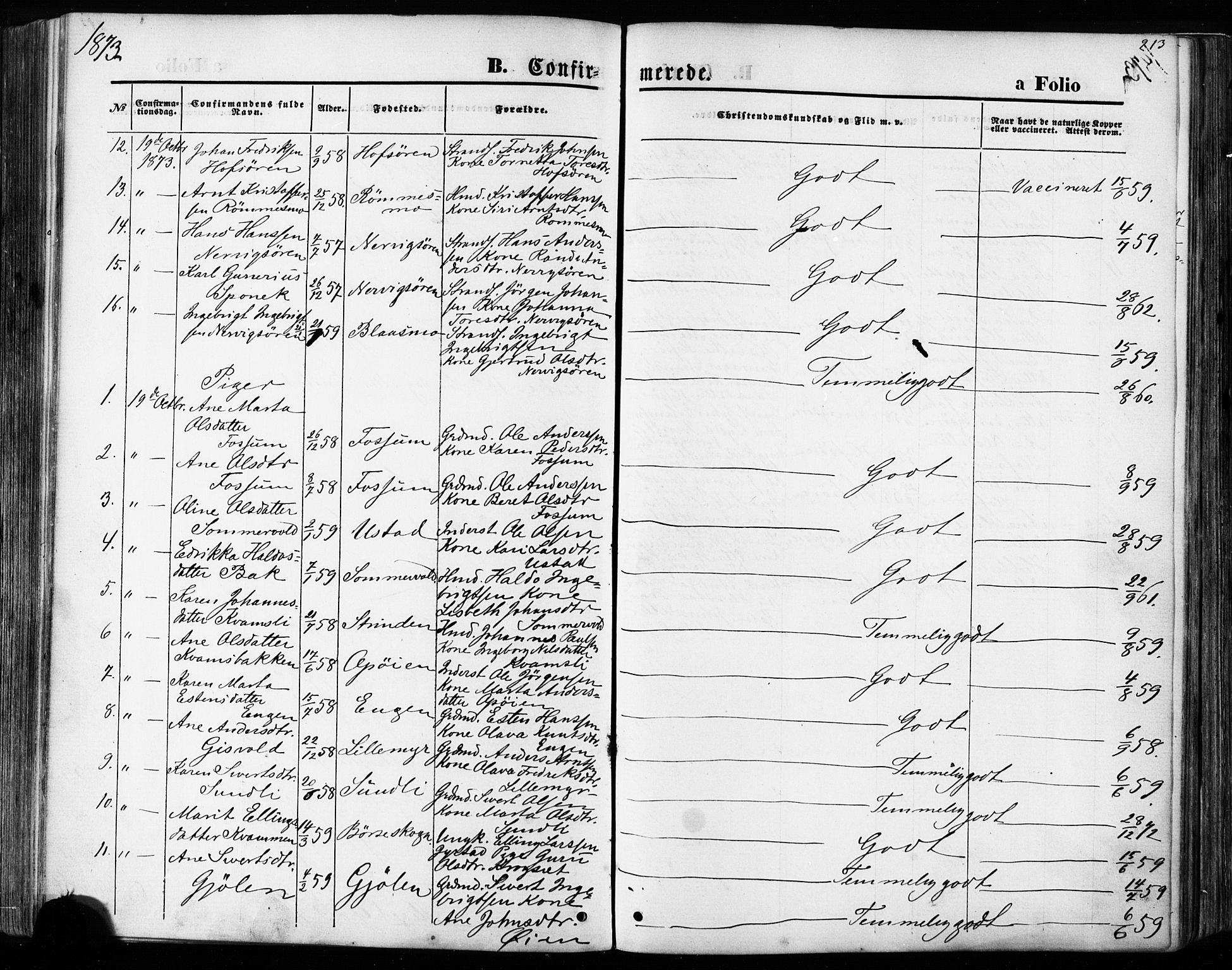 Ministerialprotokoller, klokkerbøker og fødselsregistre - Sør-Trøndelag, SAT/A-1456/668/L0807: Parish register (official) no. 668A07, 1870-1880, p. 213