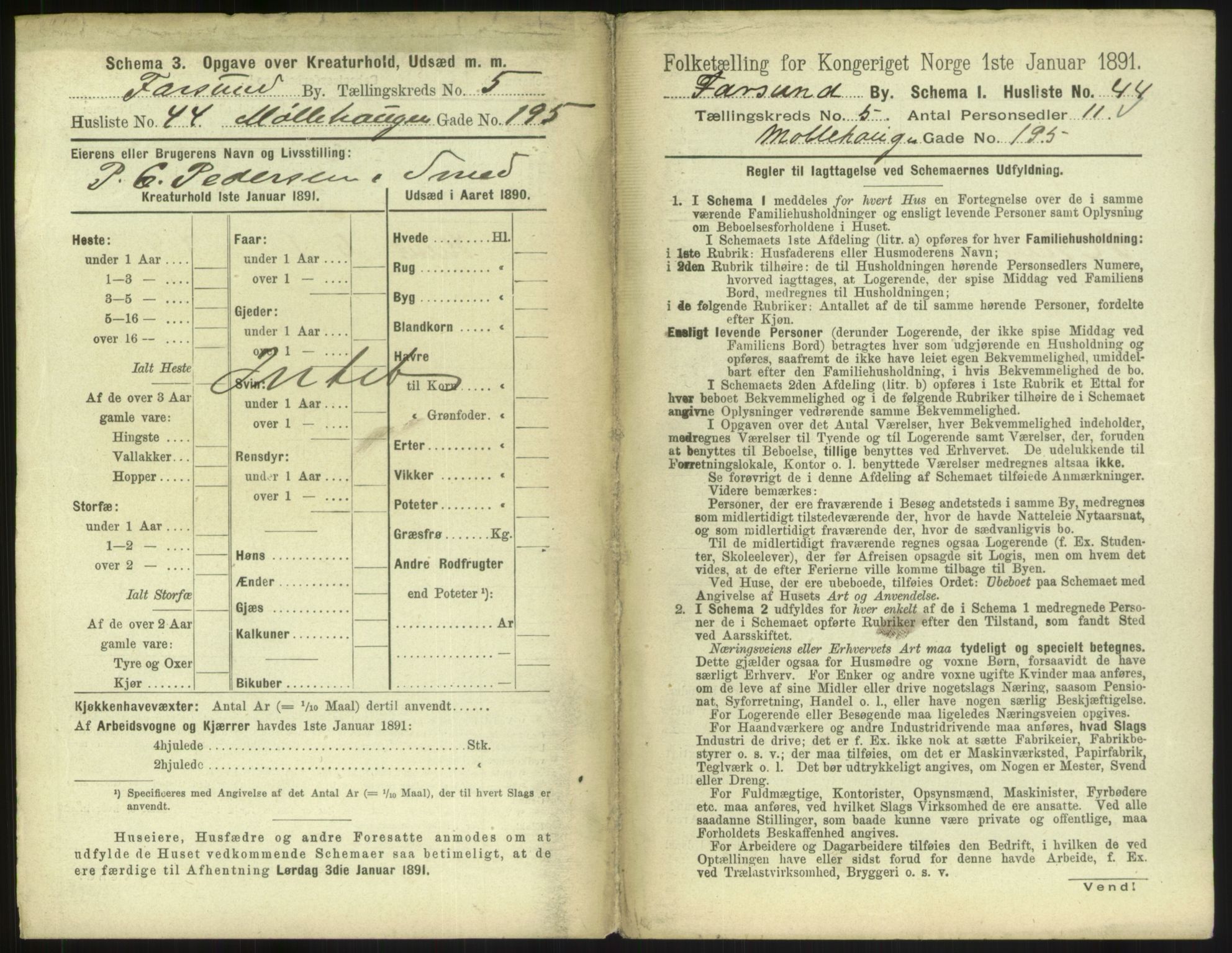 RA, 1891 census for 1003 Farsund, 1891, p. 502