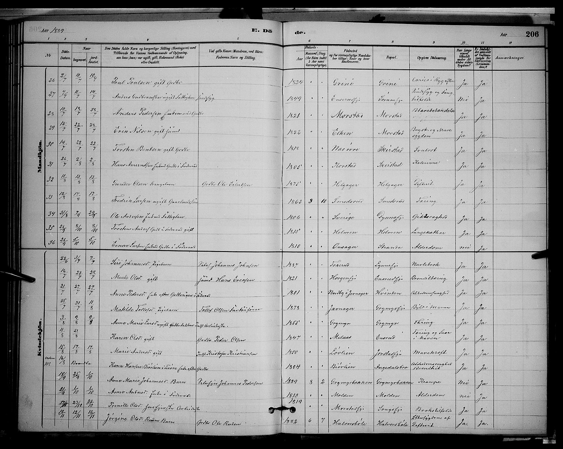 Gran prestekontor, SAH/PREST-112/H/Ha/Hab/L0002: Parish register (copy) no. 2, 1879-1892, p. 206