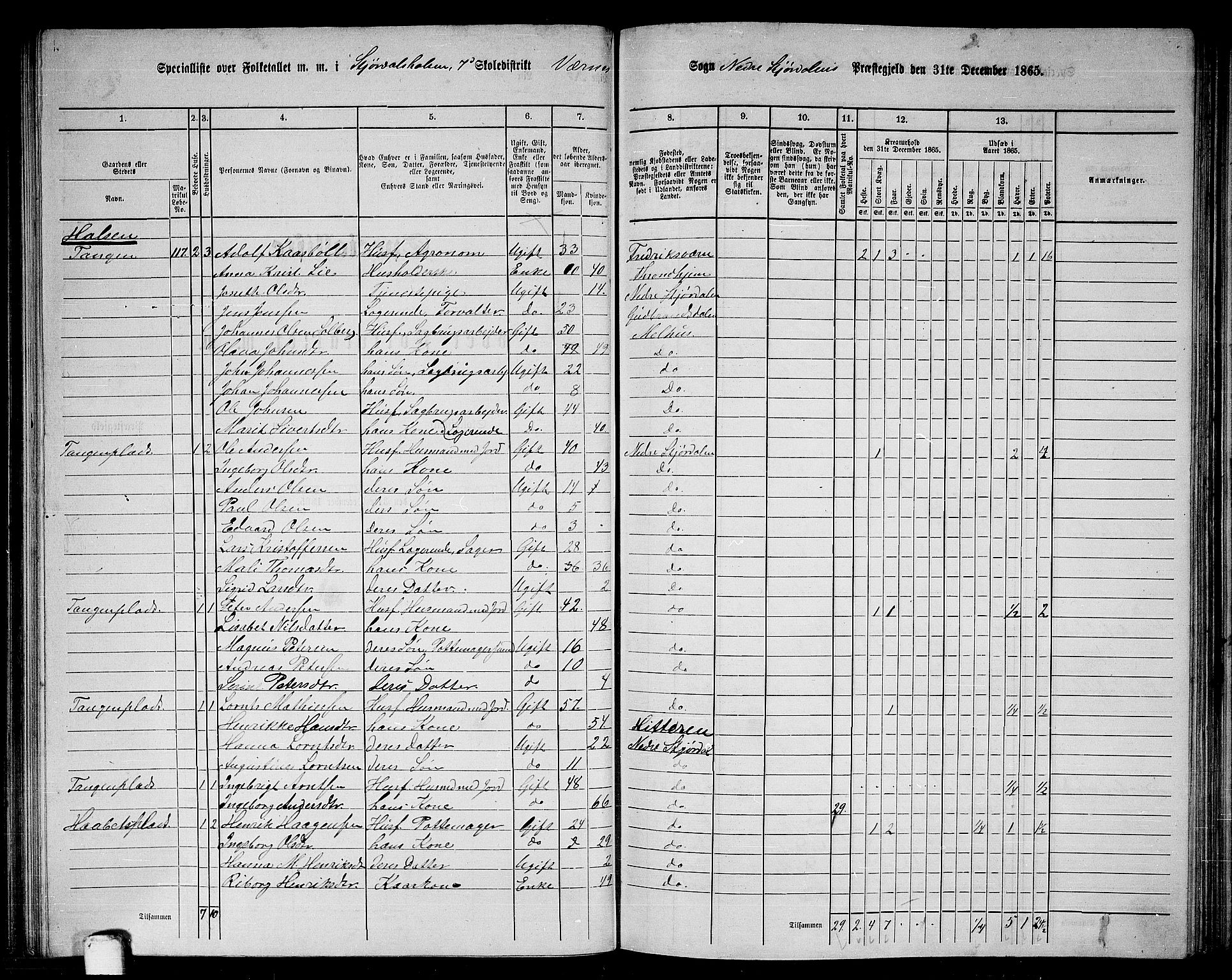 RA, 1865 census for Nedre Stjørdal, 1865, p. 139