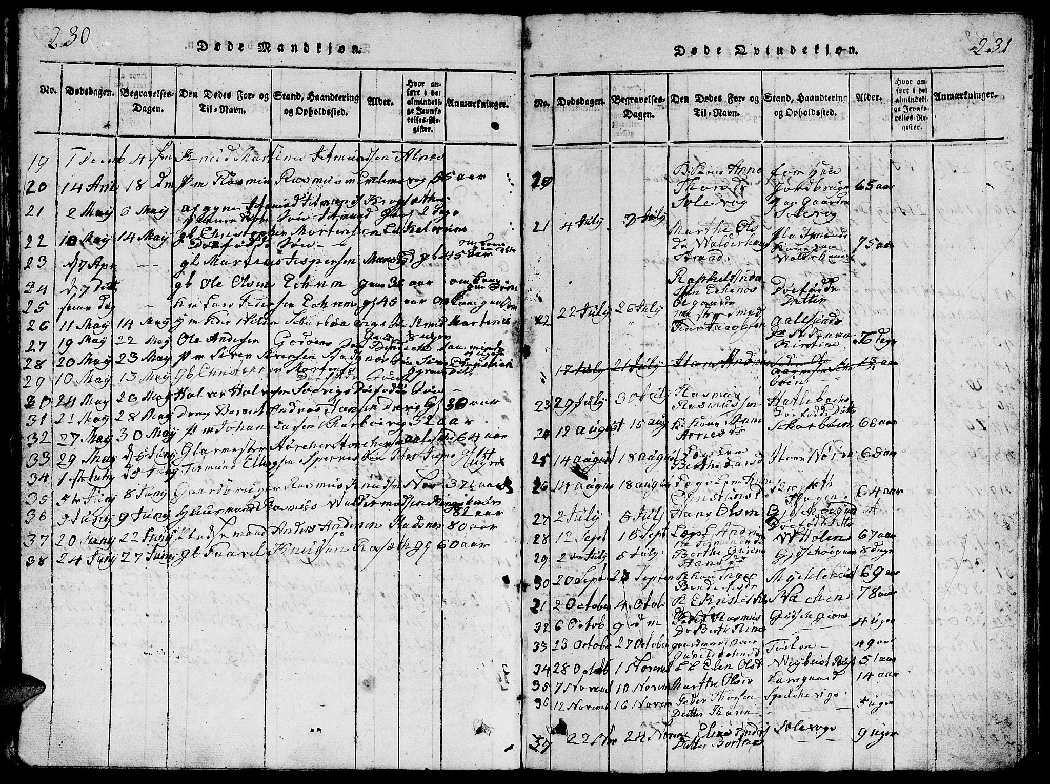 Ministerialprotokoller, klokkerbøker og fødselsregistre - Møre og Romsdal, AV/SAT-A-1454/528/L0423: Parish register (copy) no. 528C04, 1816-1827, p. 230-231