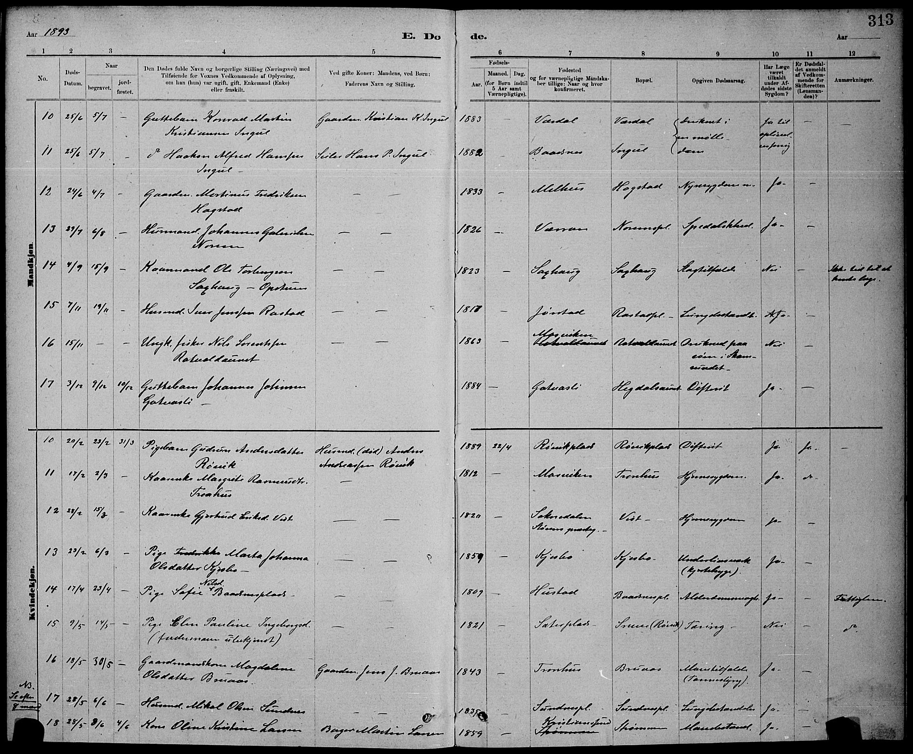 Ministerialprotokoller, klokkerbøker og fødselsregistre - Nord-Trøndelag, SAT/A-1458/730/L0301: Parish register (copy) no. 730C04, 1880-1897, p. 313