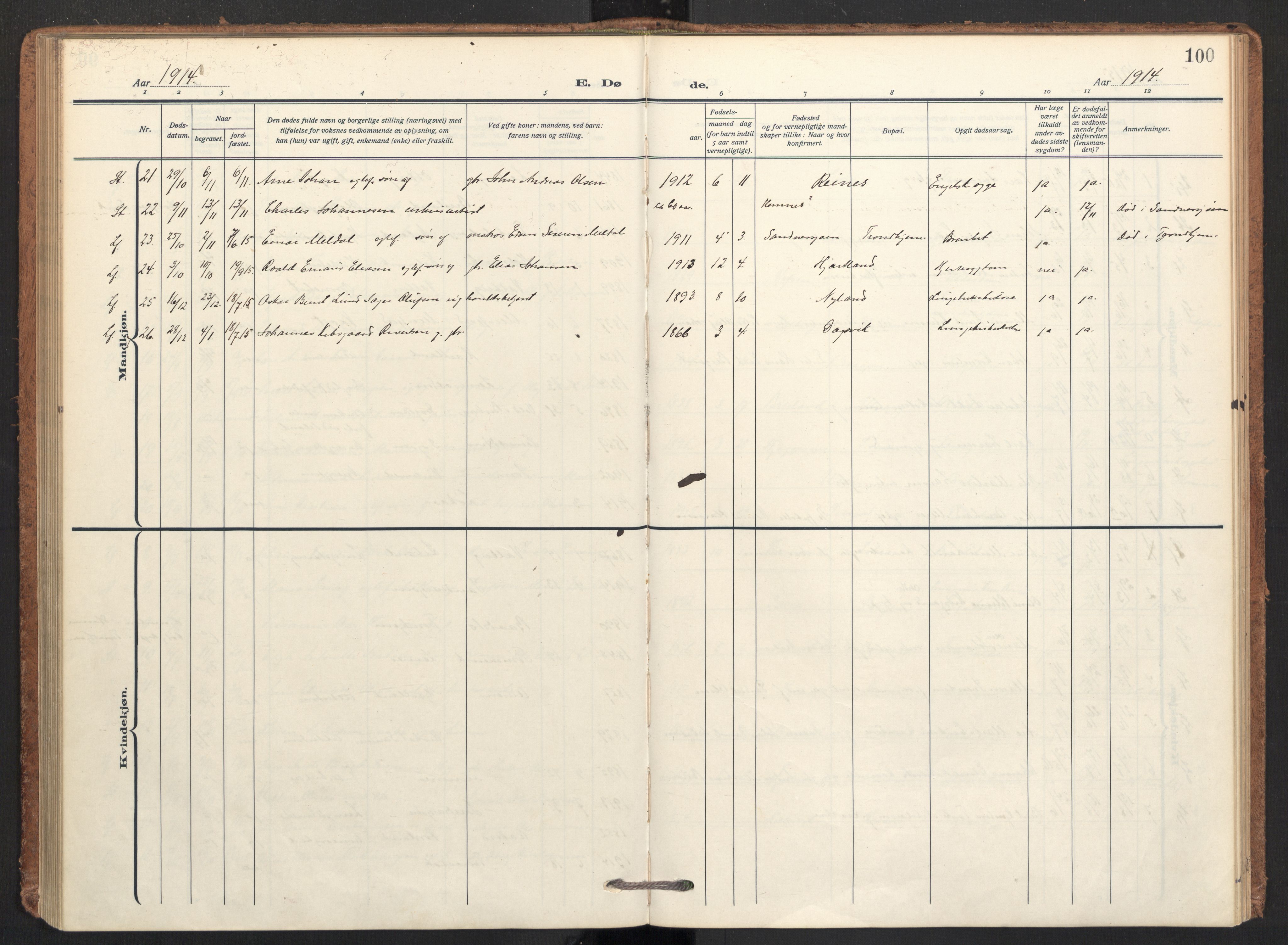 Ministerialprotokoller, klokkerbøker og fødselsregistre - Nordland, AV/SAT-A-1459/831/L0473: Parish register (official) no. 831A04, 1909-1934, p. 100