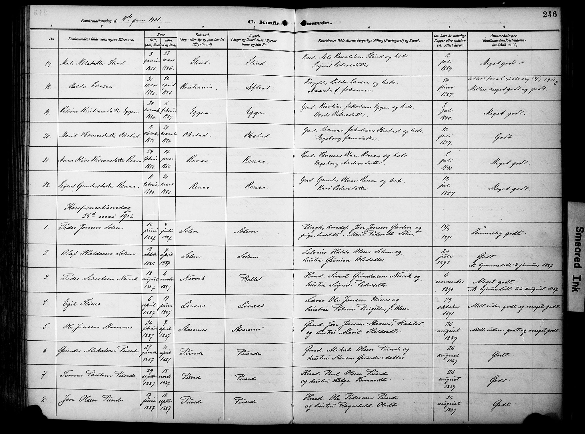 Ministerialprotokoller, klokkerbøker og fødselsregistre - Sør-Trøndelag, SAT/A-1456/695/L1149: Parish register (official) no. 695A09, 1891-1902, p. 246