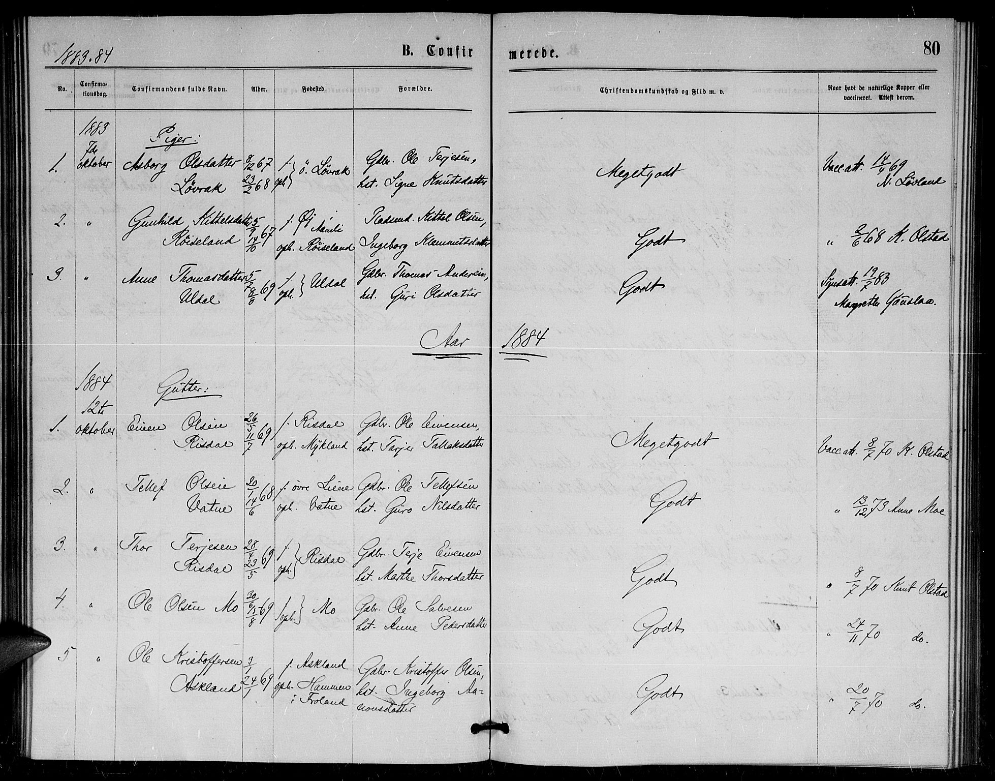 Herefoss sokneprestkontor, AV/SAK-1111-0019/F/Fa/Fac/L0001: Parish register (official) no. A 1, 1871-1886, p. 80