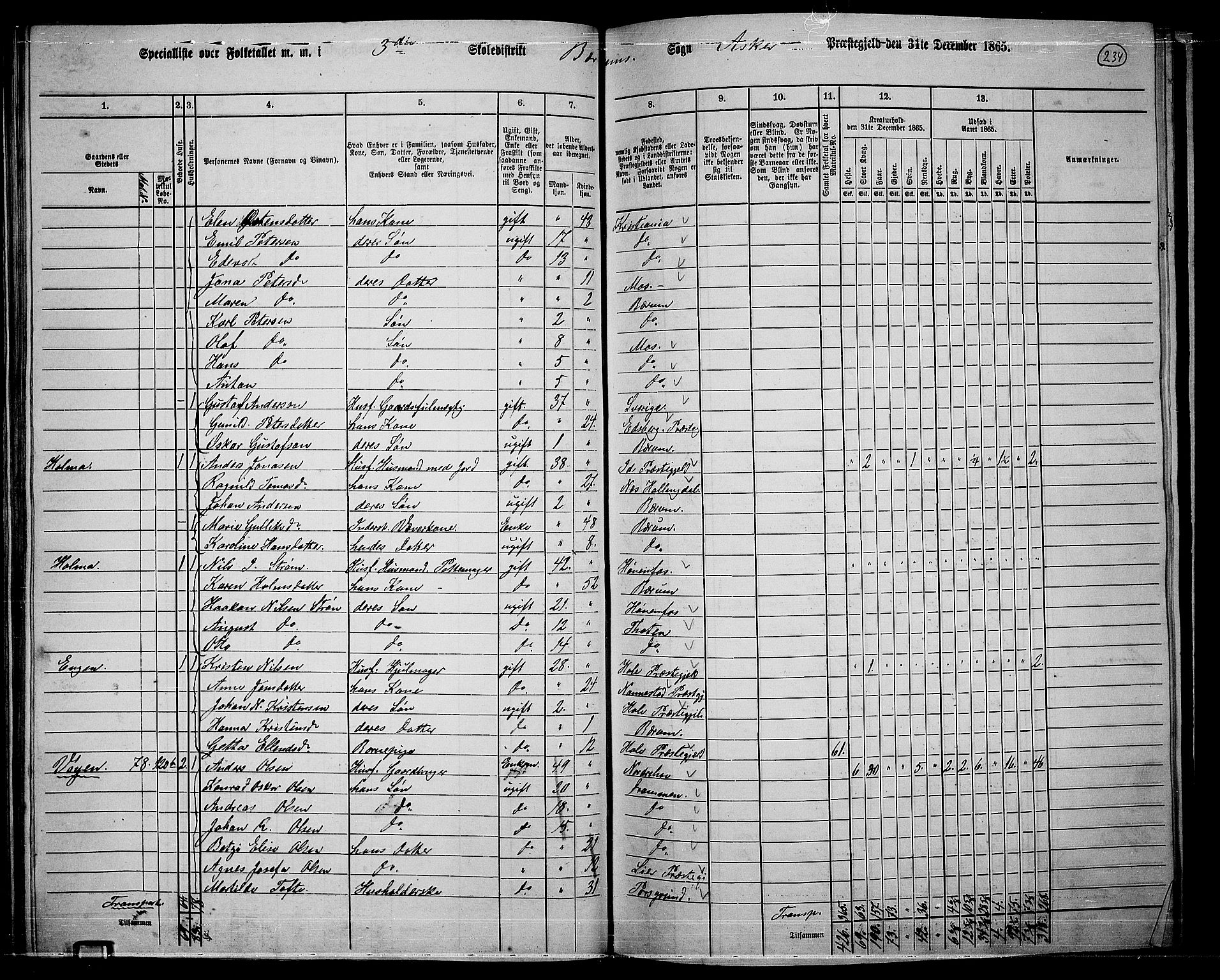 RA, 1865 census for Asker, 1865, p. 226