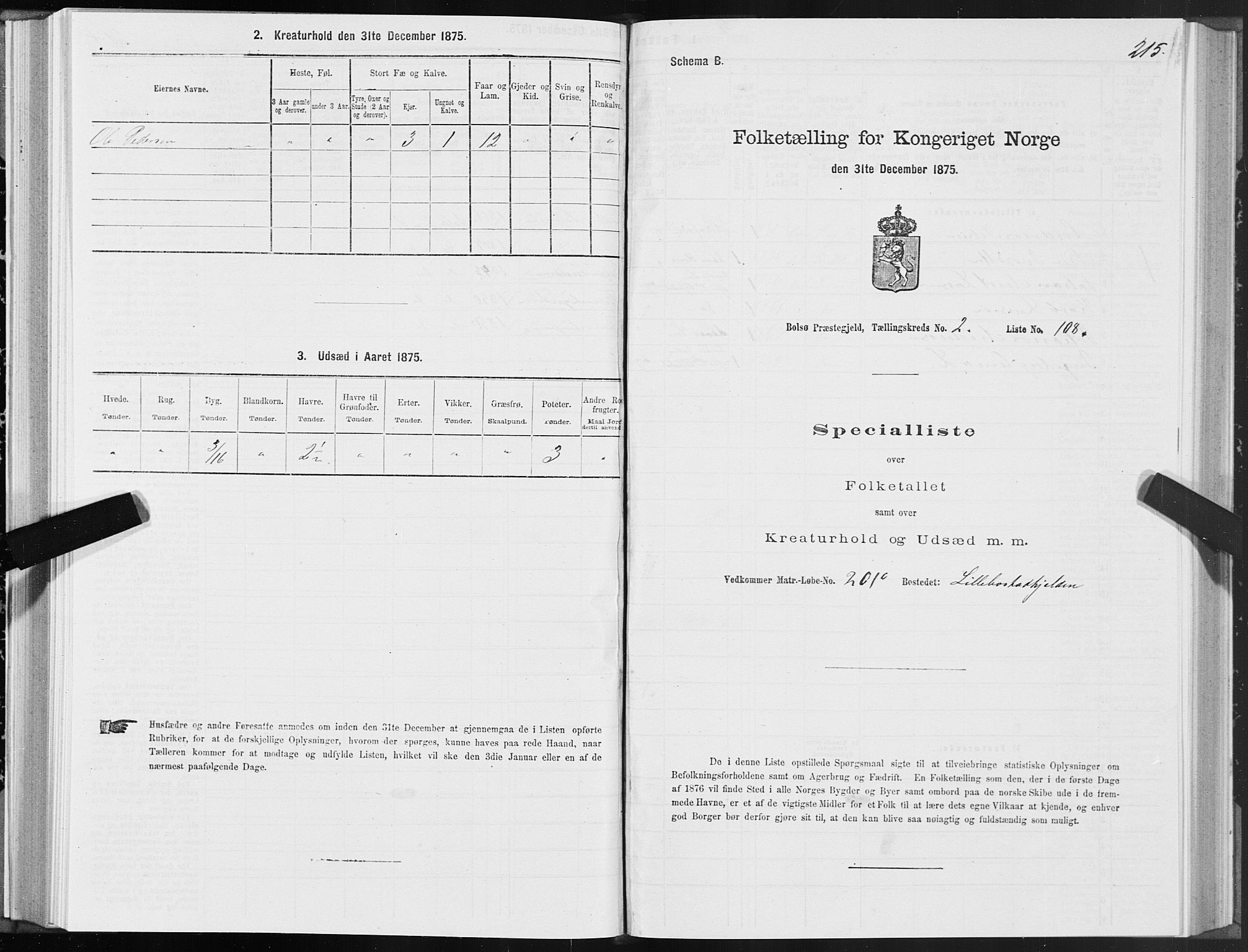 SAT, 1875 census for 1544P Bolsøy, 1875, p. 2215