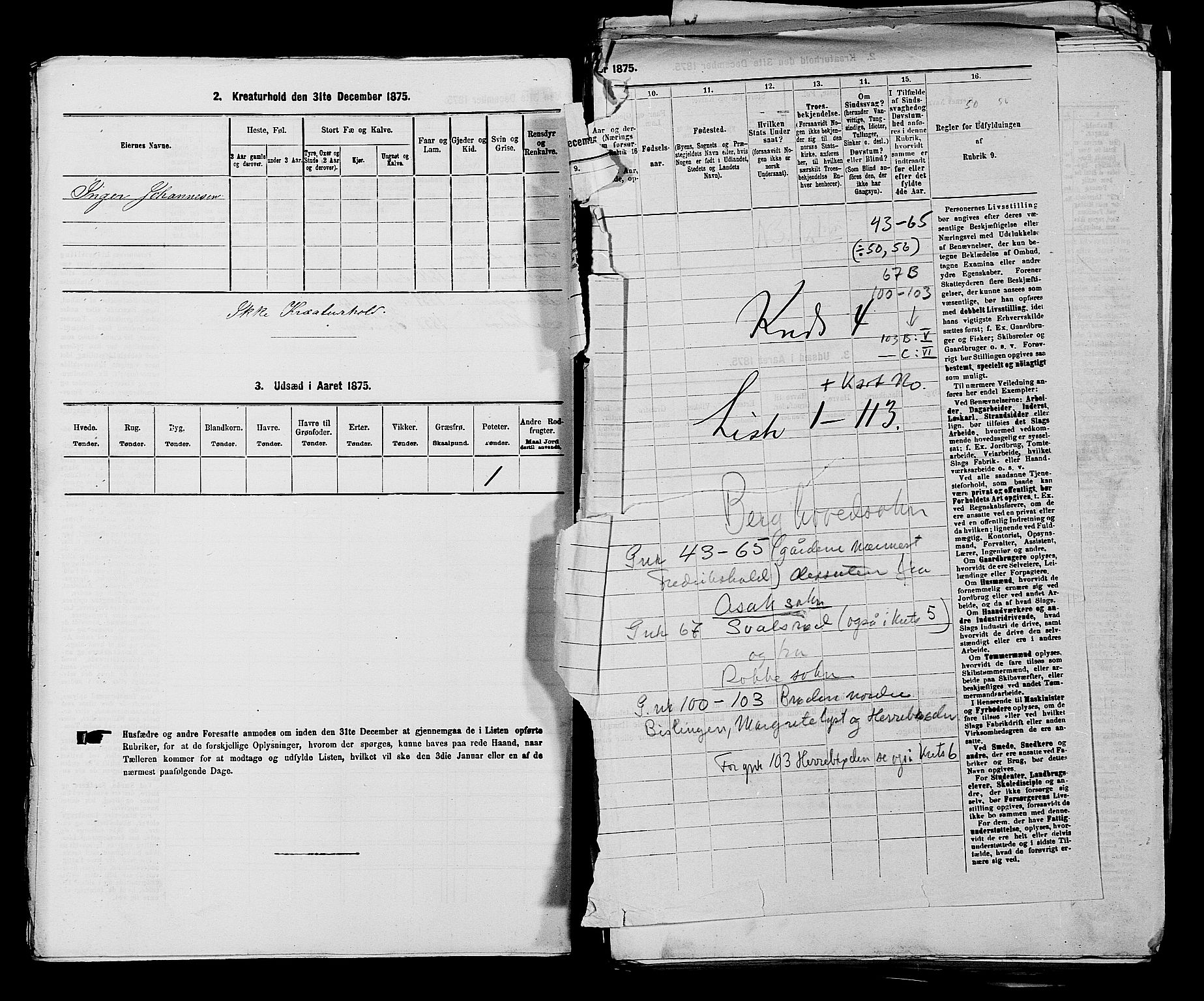 RA, 1875 census for 0116P Berg, 1875, p. 462