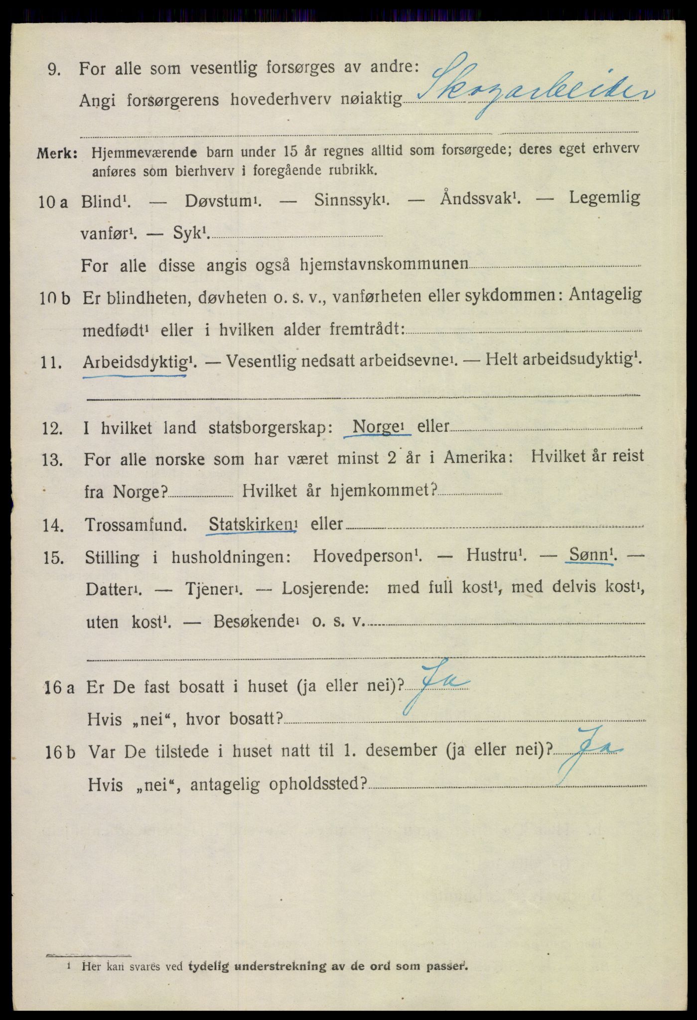 SAH, 1920 census for Hof, 1920, p. 7964