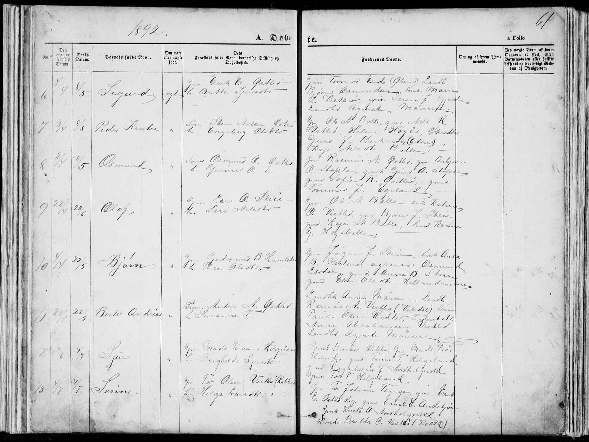 Vikedal sokneprestkontor, SAST/A-101840/01/V: Parish register (copy) no. B 10, 1864-1926, p. 61