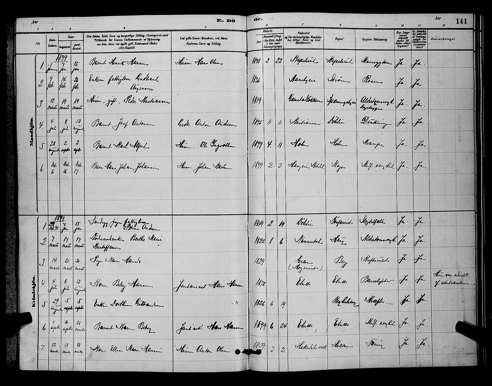 Nittedal prestekontor Kirkebøker, SAO/A-10365a/G/Gb/L0002: Parish register (copy) no. II 2, 1879-1901, p. 141