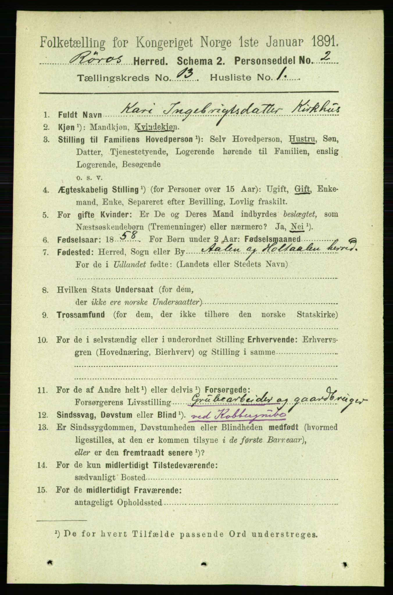 RA, 1891 census for 1640 Røros, 1891, p. 2558