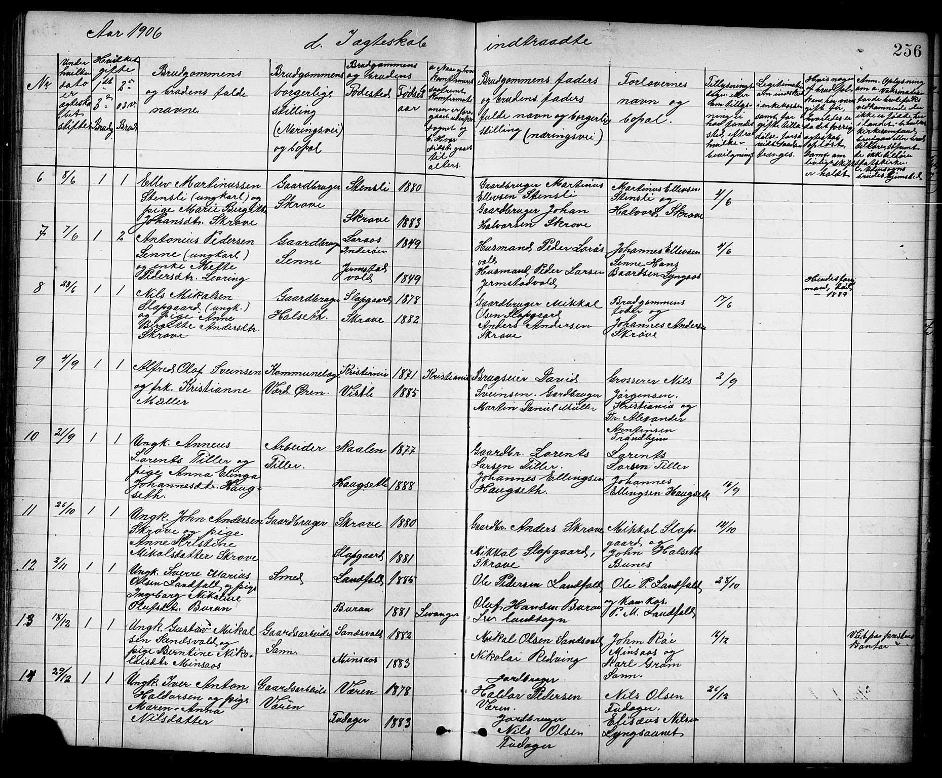 Ministerialprotokoller, klokkerbøker og fødselsregistre - Nord-Trøndelag, AV/SAT-A-1458/723/L0257: Parish register (copy) no. 723C05, 1890-1907, p. 256