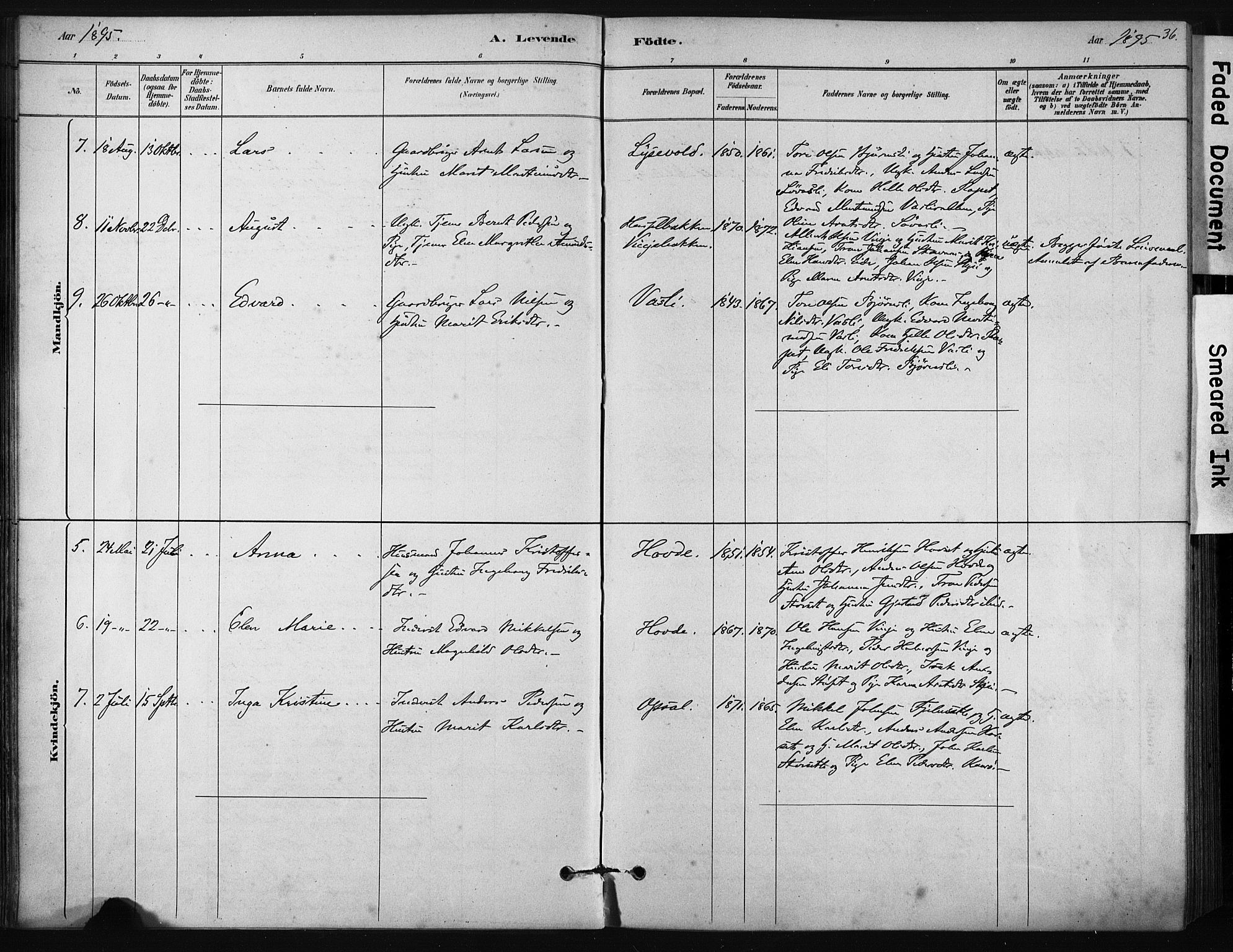 Ministerialprotokoller, klokkerbøker og fødselsregistre - Sør-Trøndelag, SAT/A-1456/631/L0512: Parish register (official) no. 631A01, 1879-1912, p. 36