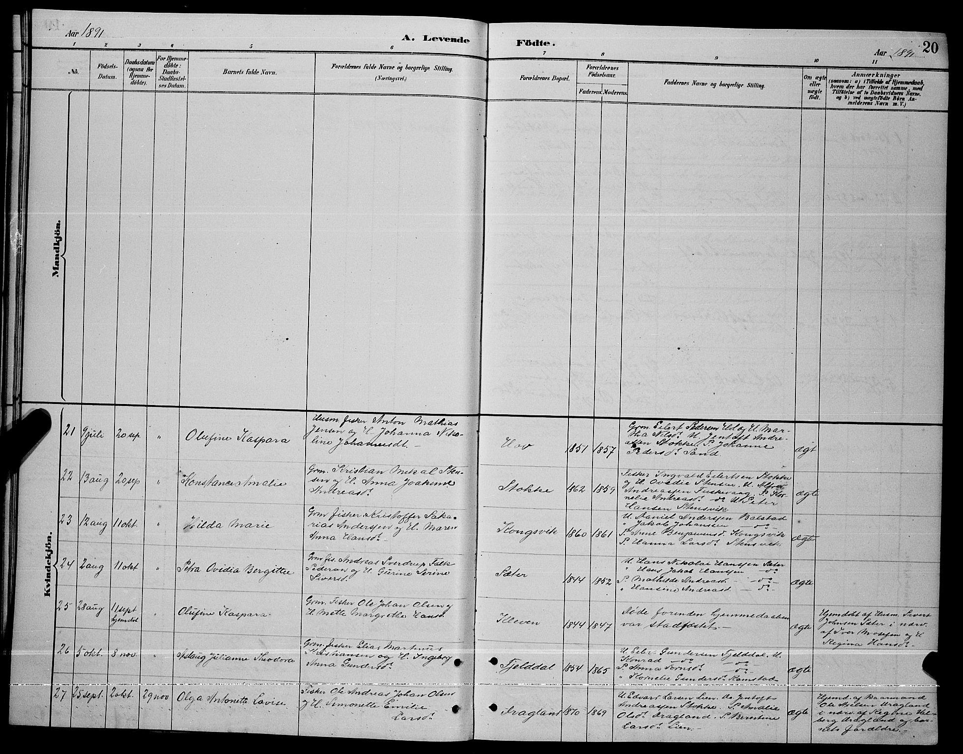 Ministerialprotokoller, klokkerbøker og fødselsregistre - Nordland, AV/SAT-A-1459/865/L0931: Parish register (copy) no. 865C03, 1885-1901, p. 20