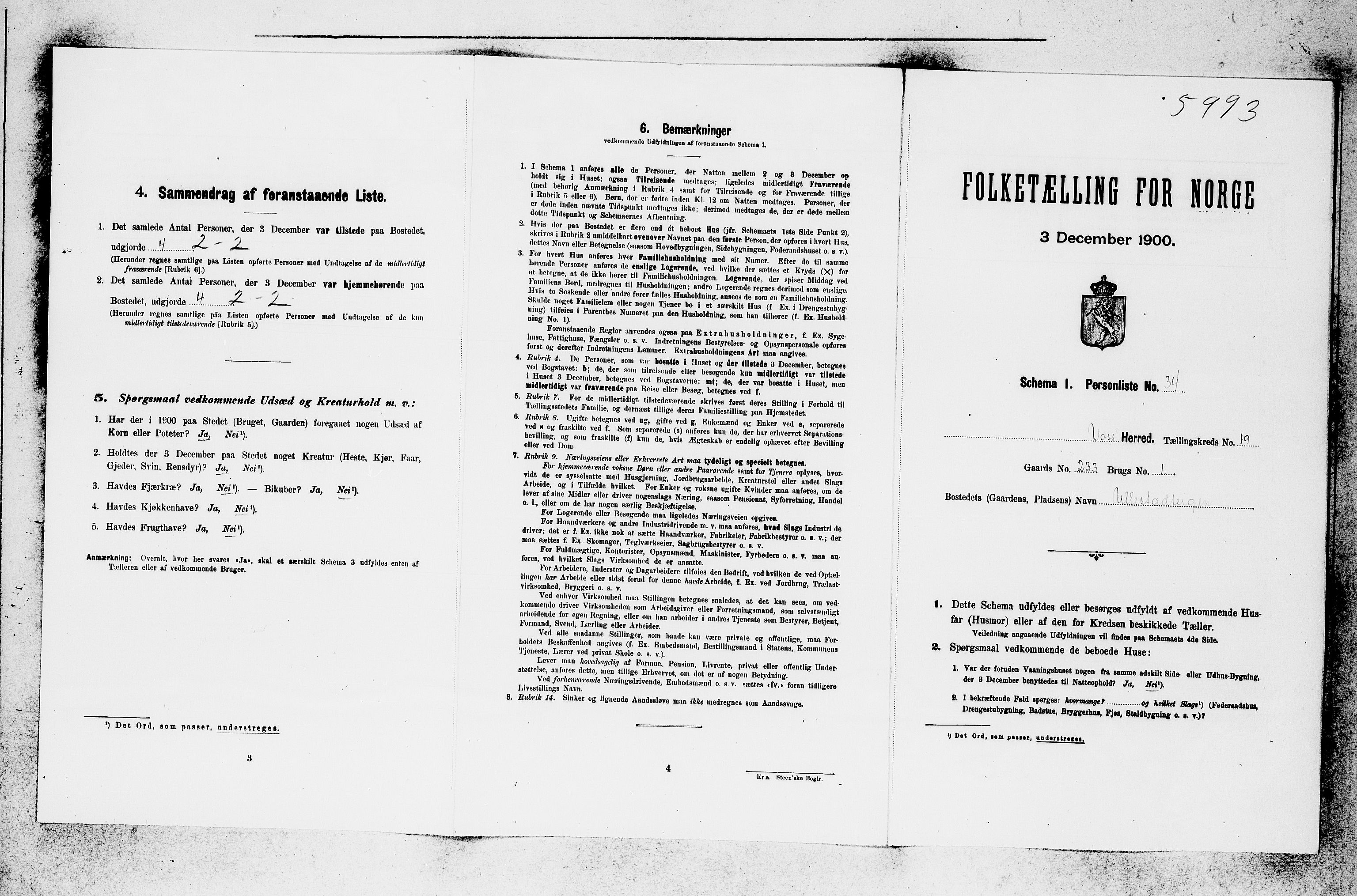 SAB, 1900 census for Voss, 1900, p. 2162