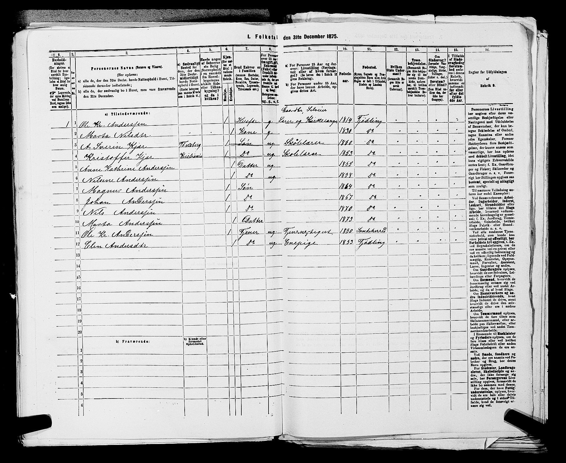 SAKO, 1875 census for 0725P Tjølling, 1875, p. 874