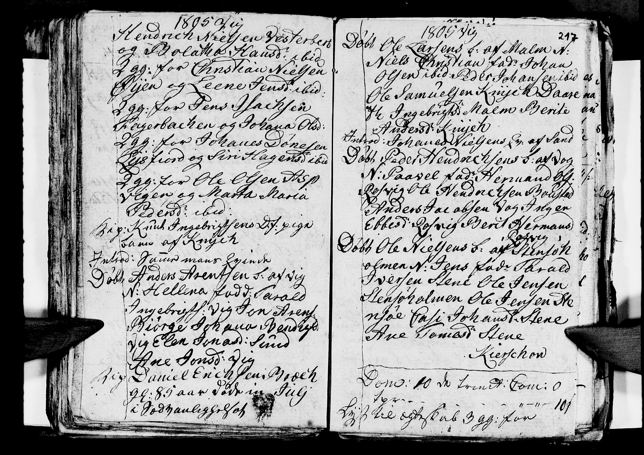 Ministerialprotokoller, klokkerbøker og fødselsregistre - Nordland, AV/SAT-A-1459/812/L0184: Parish register (copy) no. 812C02, 1793-1809, p. 217