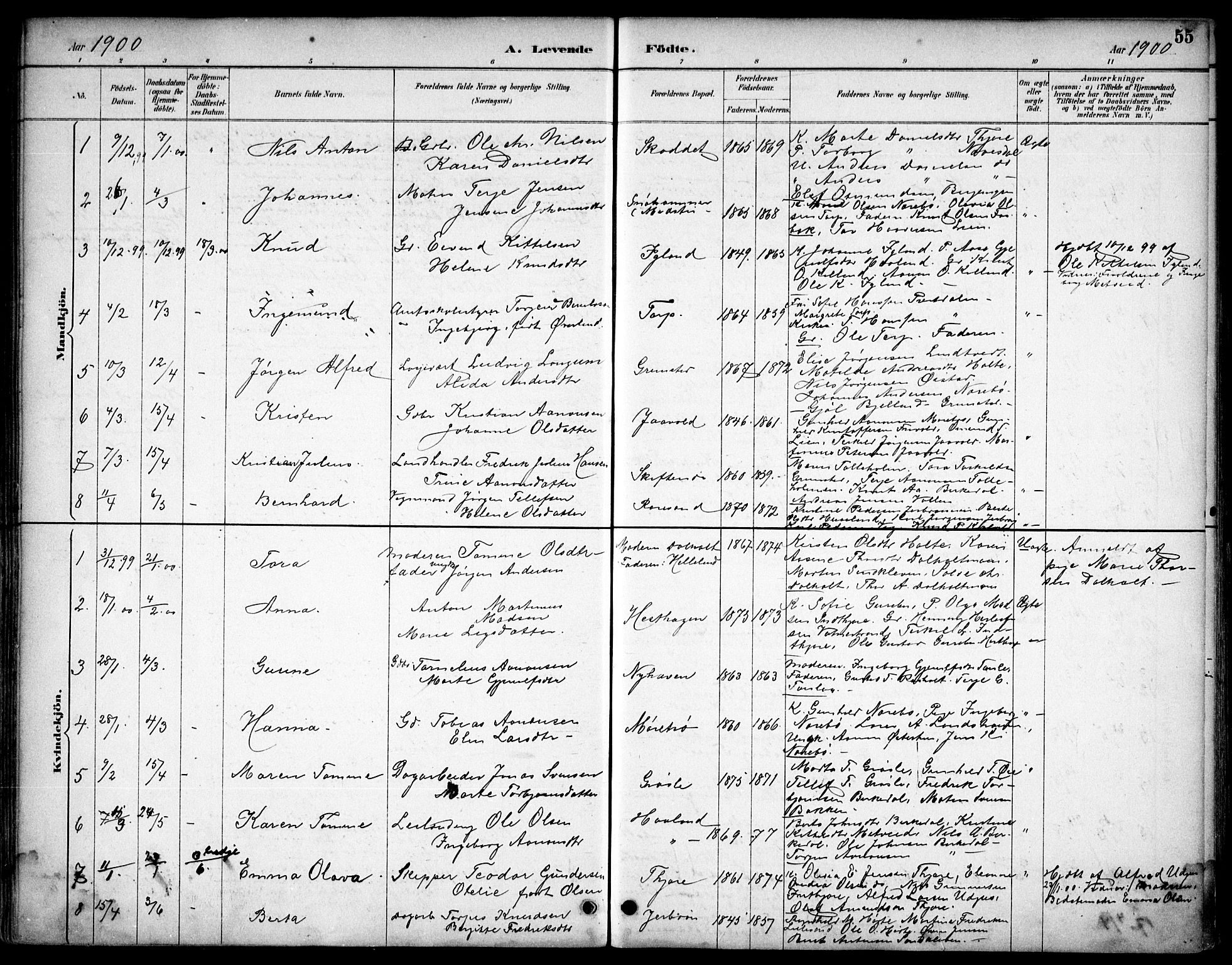 Hommedal sokneprestkontor, SAK/1111-0023/F/Fb/Fbb/L0007: Parish register (copy) no. B 7, 1885-1904, p. 55