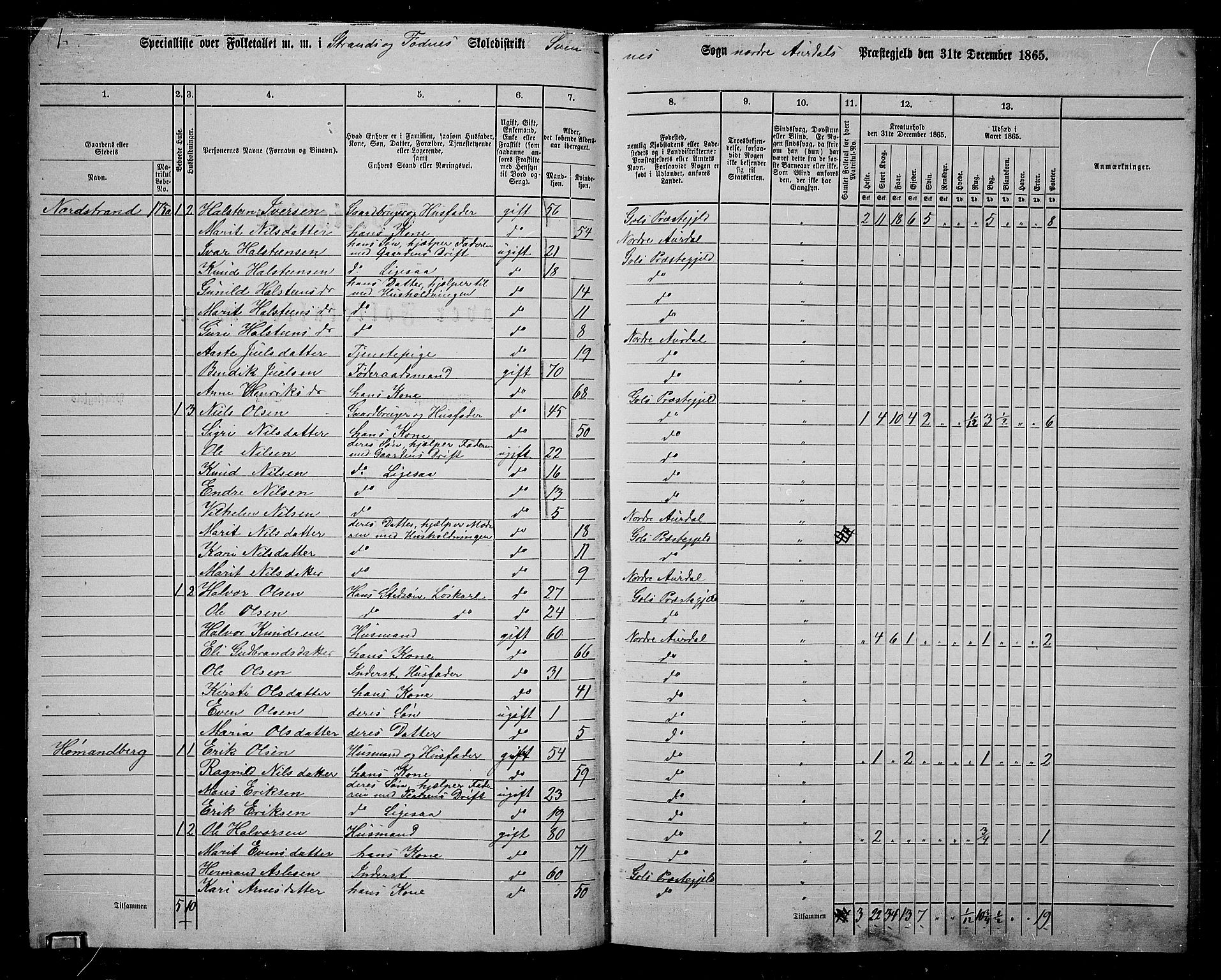 RA, 1865 census for Nord-Aurdal, 1865, p. 82