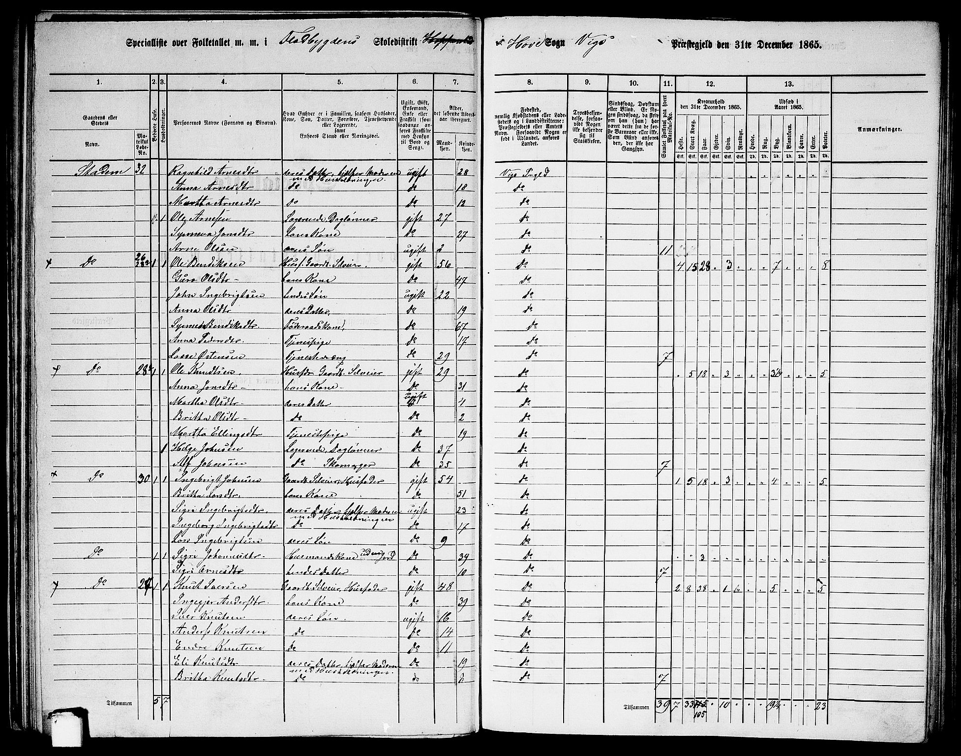 RA, 1865 census for Vik, 1865, p. 45