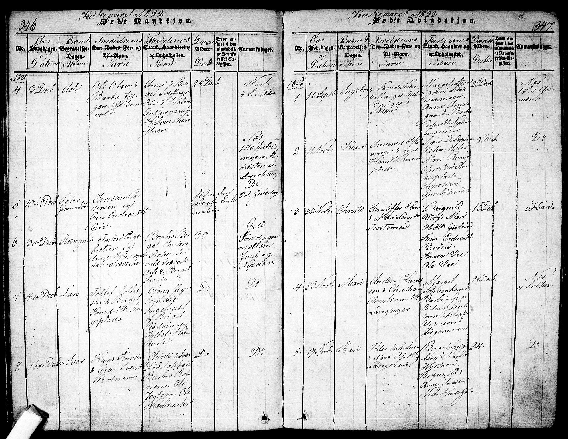 Nes kirkebøker, AV/SAKO-A-236/F/Fa/L0007: Parish register (official) no. 7, 1815-1823, p. 346-347