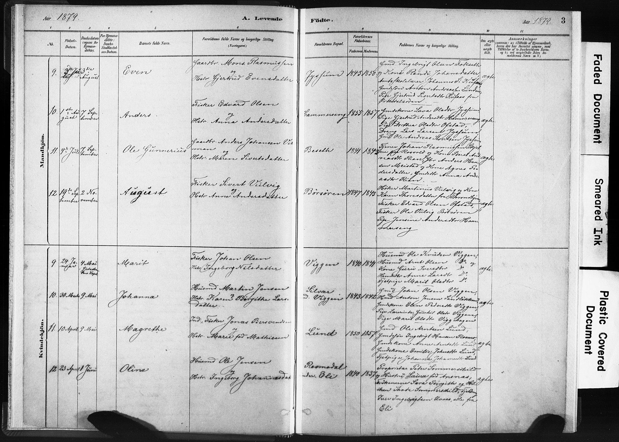 Ministerialprotokoller, klokkerbøker og fødselsregistre - Sør-Trøndelag, AV/SAT-A-1456/665/L0773: Parish register (official) no. 665A08, 1879-1905, p. 3