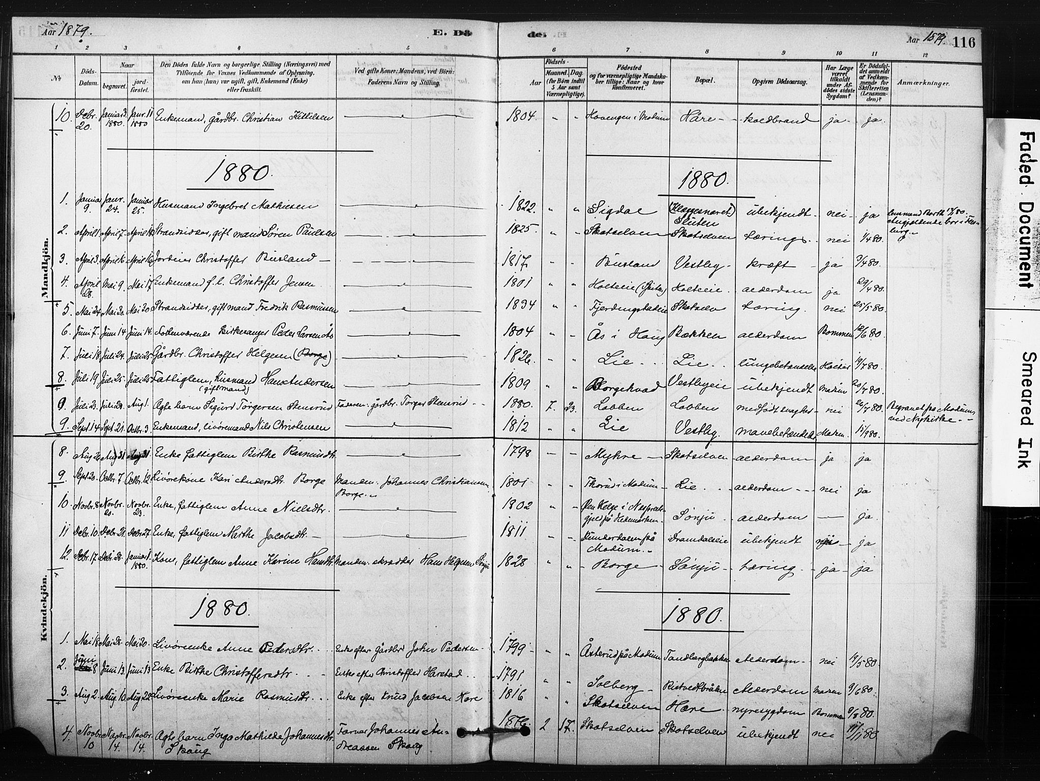 Eiker kirkebøker, AV/SAKO-A-4/F/Fc/L0001: Parish register (official) no. III 1, 1878-1889, p. 116