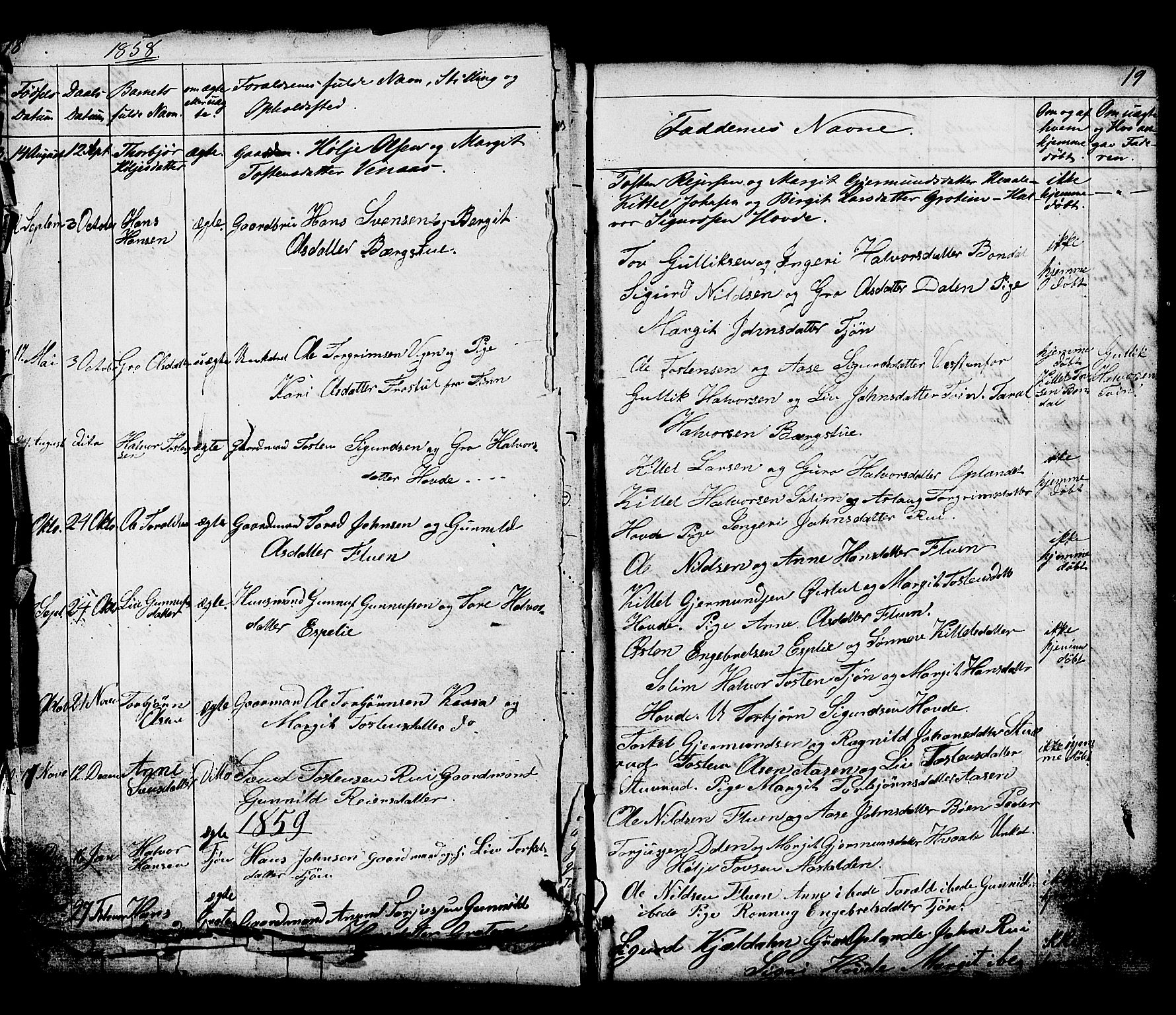 Hjartdal kirkebøker, SAKO/A-270/G/Gc/L0002: Parish register (copy) no. III 2, 1854-1890, p. 18-19