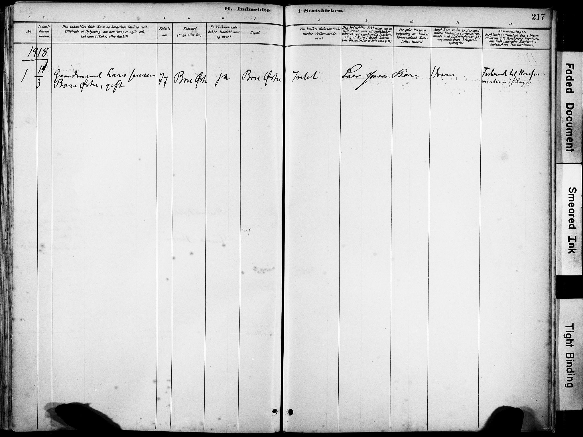 Klepp sokneprestkontor, SAST/A-101803/001/3/30BA/L0008: Parish register (official) no. A 9, 1886-1919, p. 217
