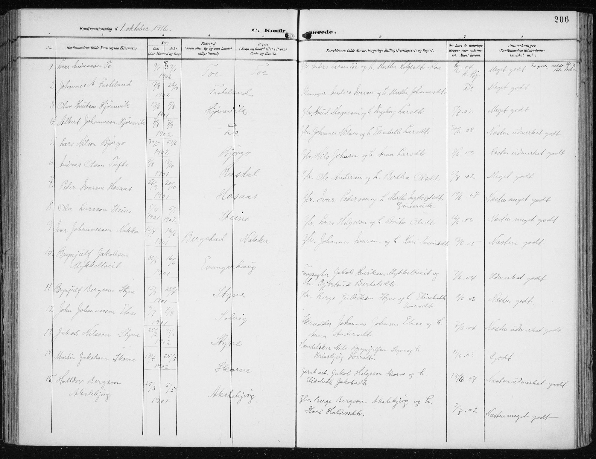 Evanger sokneprestembete, SAB/A-99924: Parish register (official) no. A  3, 1900-1930, p. 206