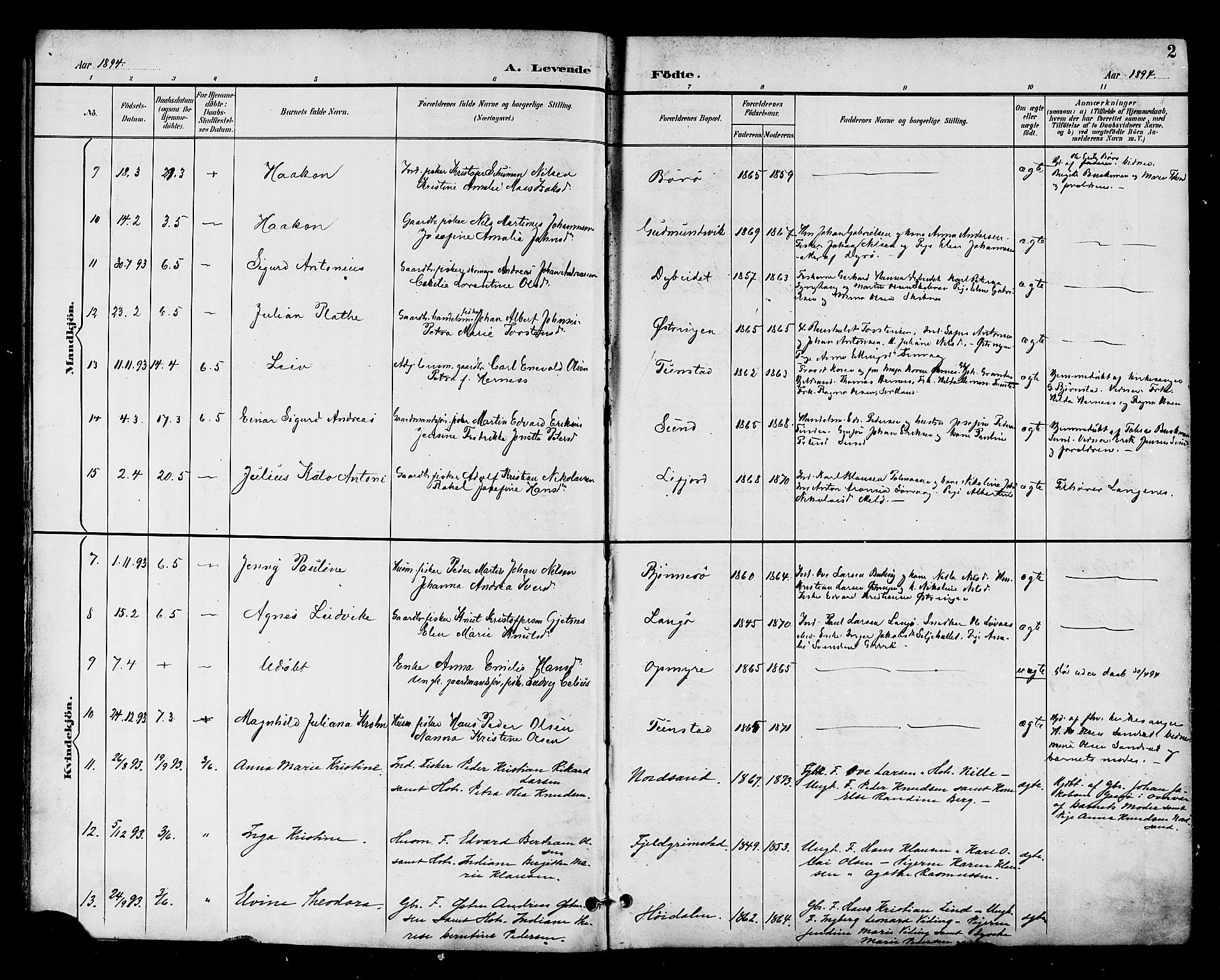 Ministerialprotokoller, klokkerbøker og fødselsregistre - Nordland, SAT/A-1459/893/L1338: Parish register (official) no. 893A10, 1894-1903, p. 2