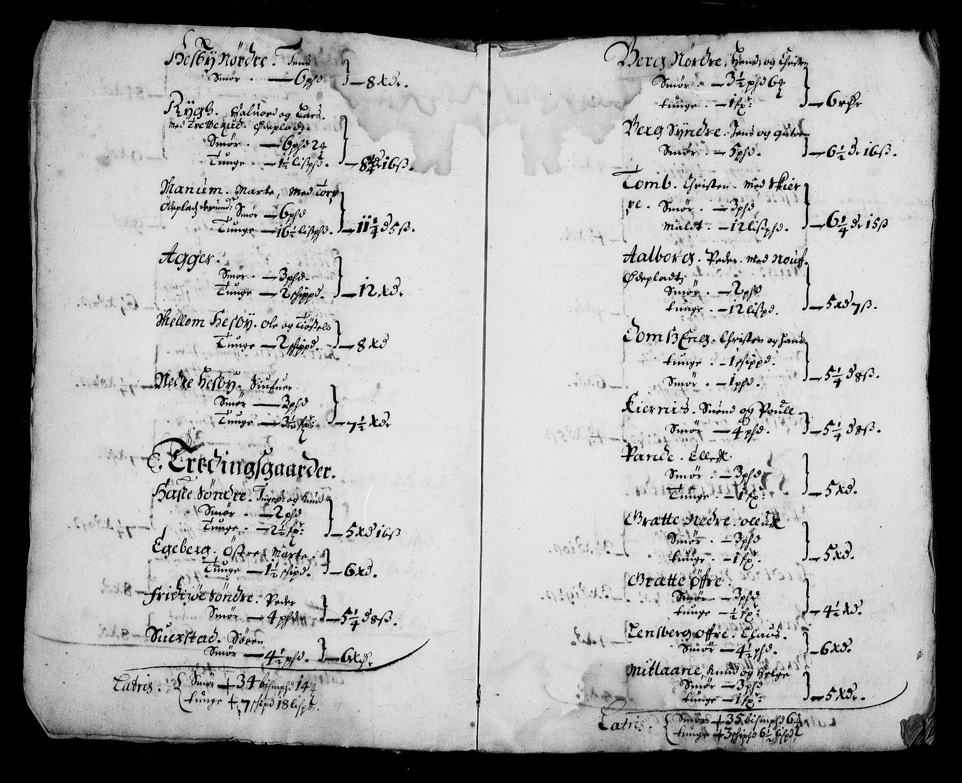 Rentekammeret inntil 1814, Realistisk ordnet avdeling, AV/RA-EA-4070/N/Na/L0003/0001: [XI h]: Tønsbergs amt og Larvik grevskaps jordebøker: / (A) Leilendigsskatt inkl. håndverkere, husmenn og strandsittere, samt Griffenfelds jordegods i Larvik grevskap., 1674