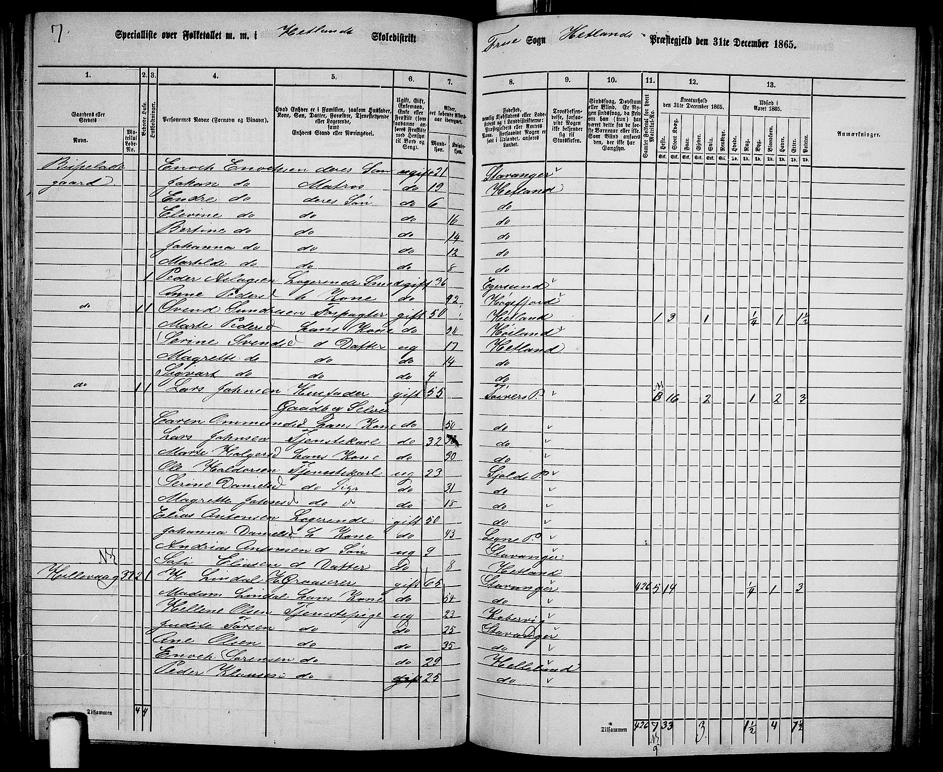 RA, 1865 census for Hetland, 1865, p. 134