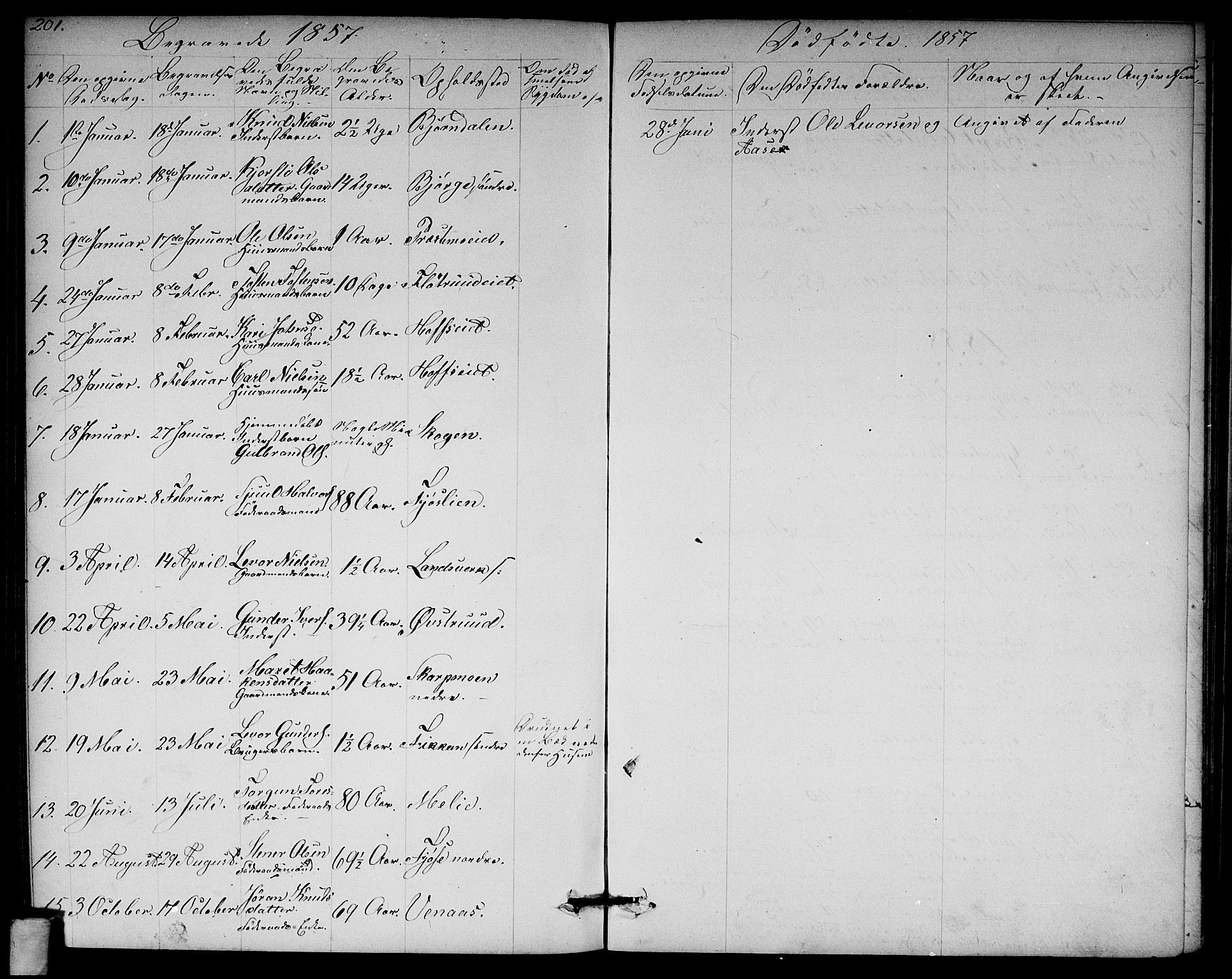 Rollag kirkebøker, SAKO/A-240/G/Ga/L0003: Parish register (copy) no. I 3, 1856-1887, p. 201