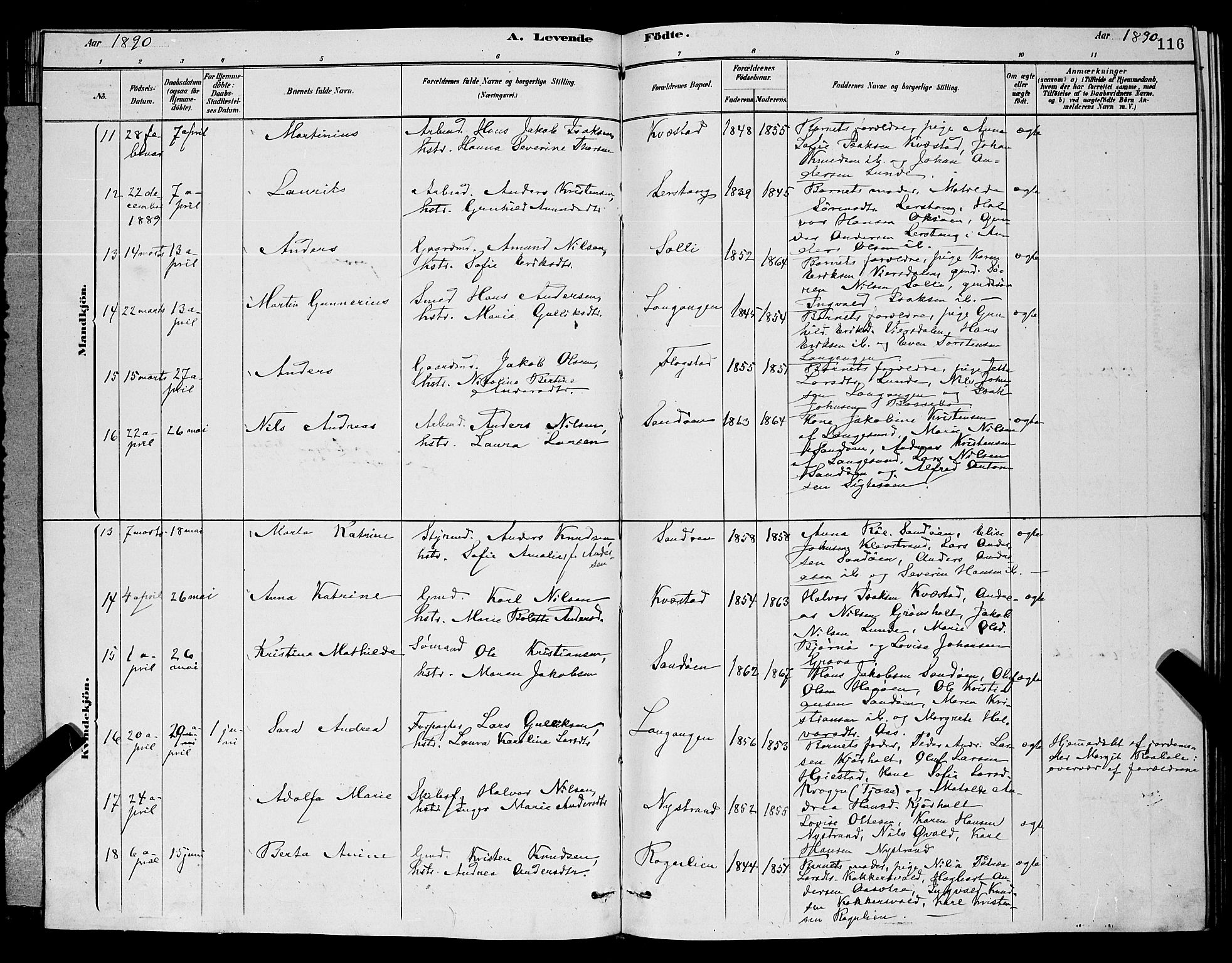 Eidanger kirkebøker, SAKO/A-261/G/Ga/L0002: Parish register (copy) no. 2, 1879-1892, p. 116