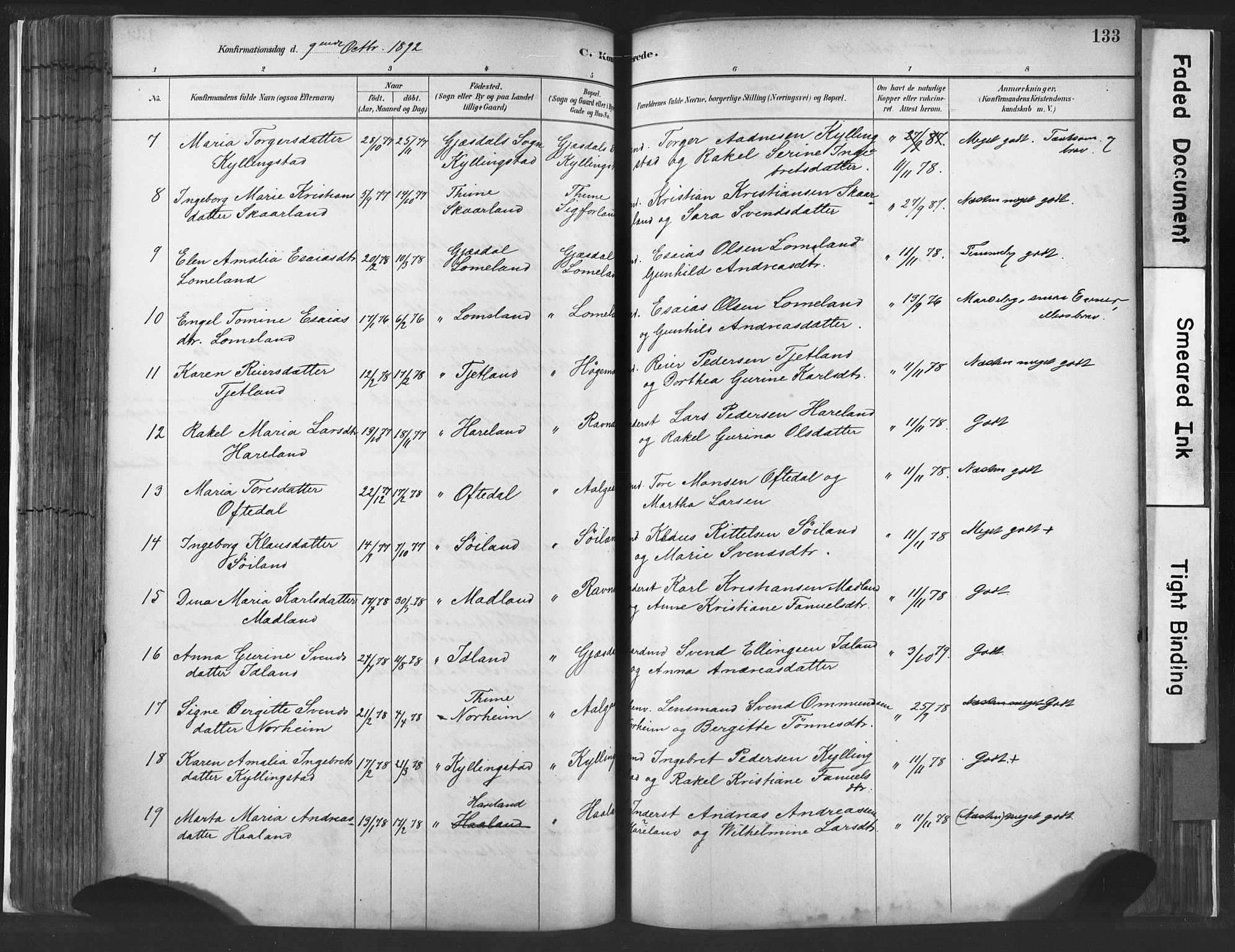 Lye sokneprestkontor, AV/SAST-A-101794/001/30BA/L0010: Parish register (official) no. A 10, 1881-1896, p. 133