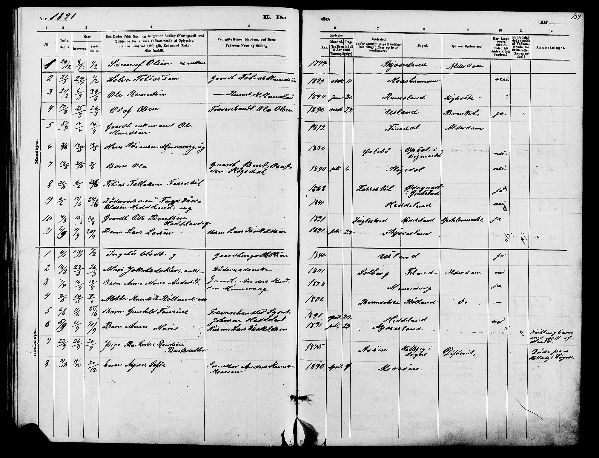 Holum sokneprestkontor, SAK/1111-0022/F/Fb/Fbc/L0003: Parish register (copy) no. B 3, 1882-1908, p. 134