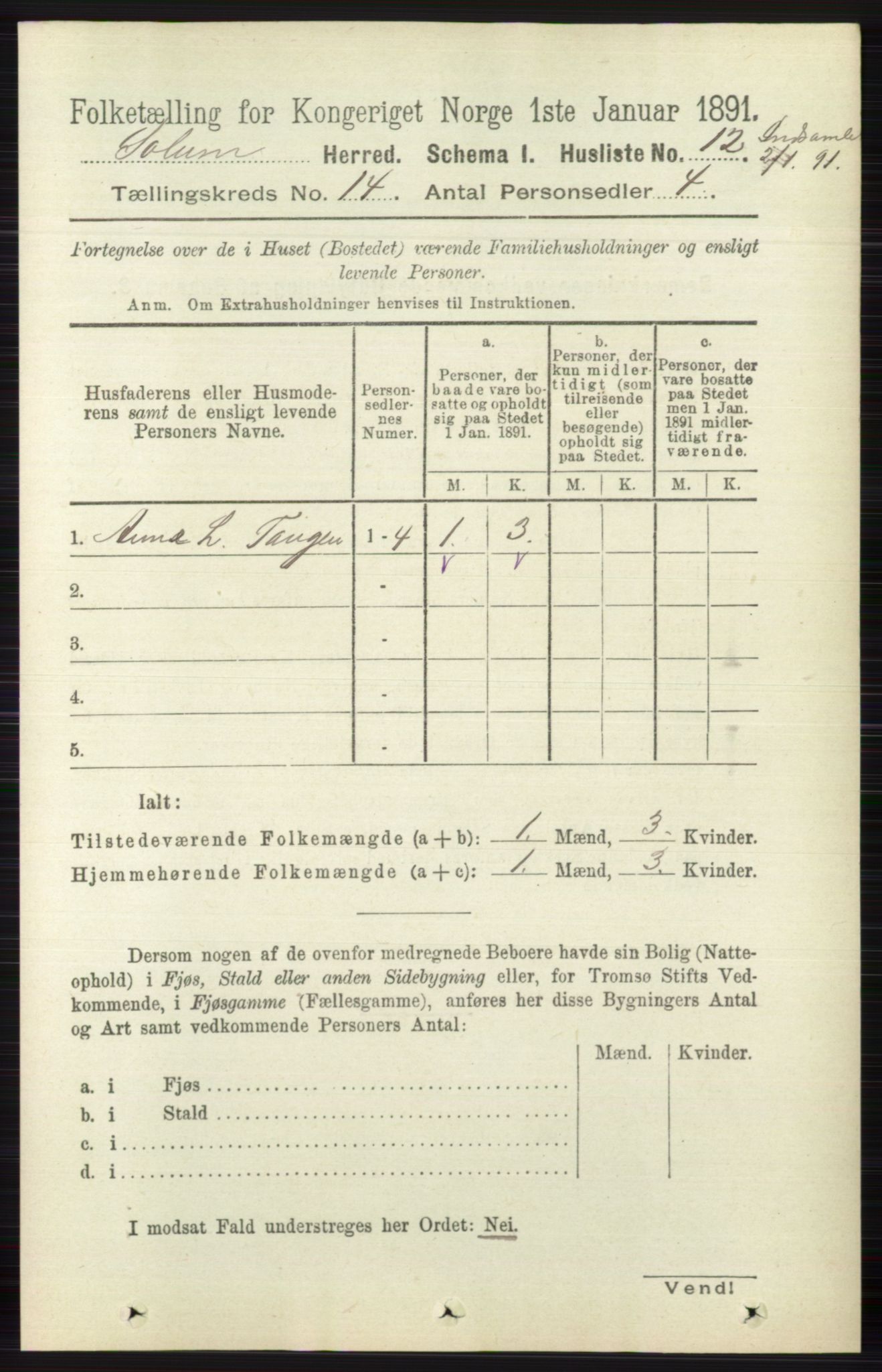 RA, 1891 census for 0818 Solum, 1891, p. 6307