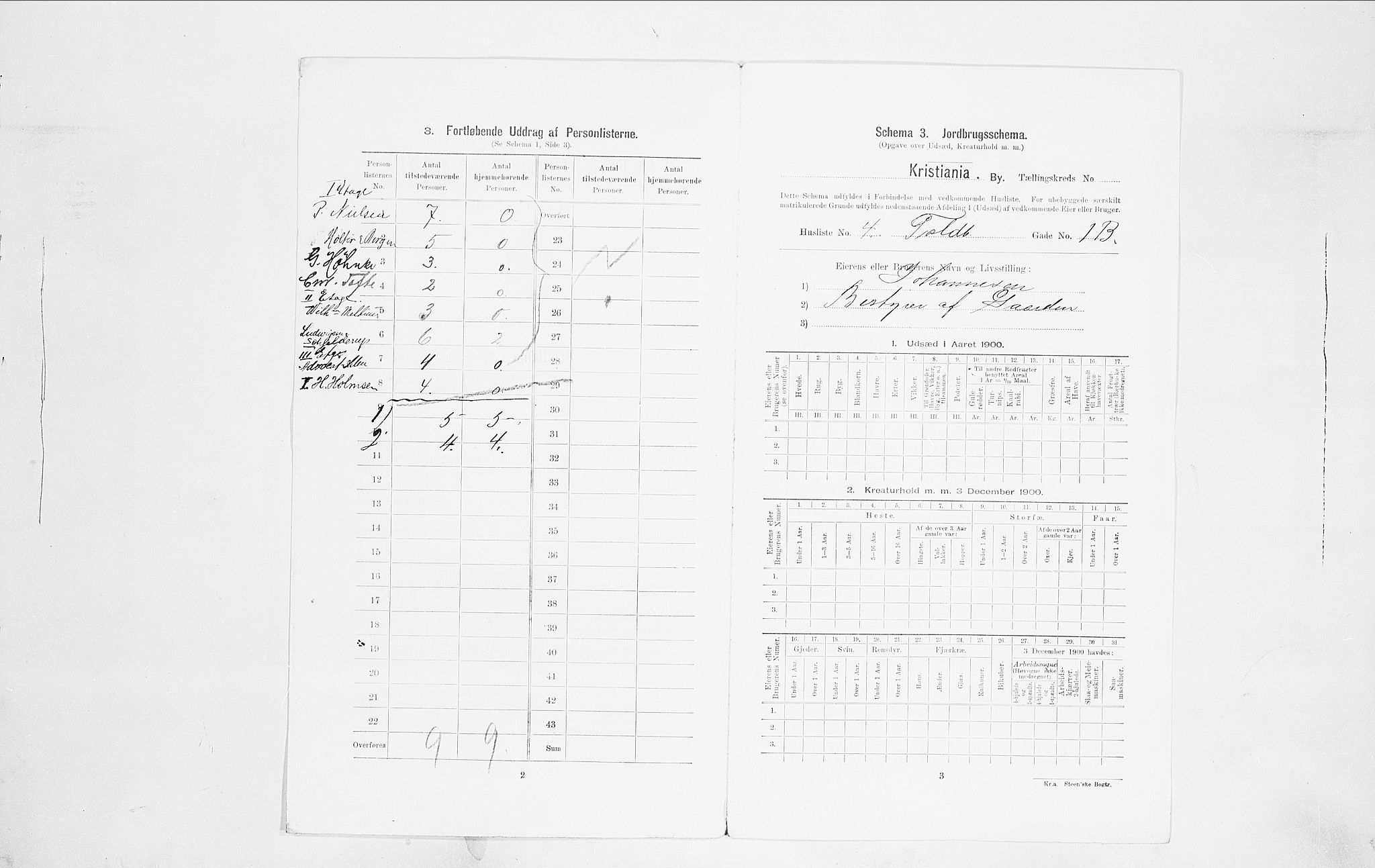 SAO, 1900 census for Kristiania, 1900, p. 101900