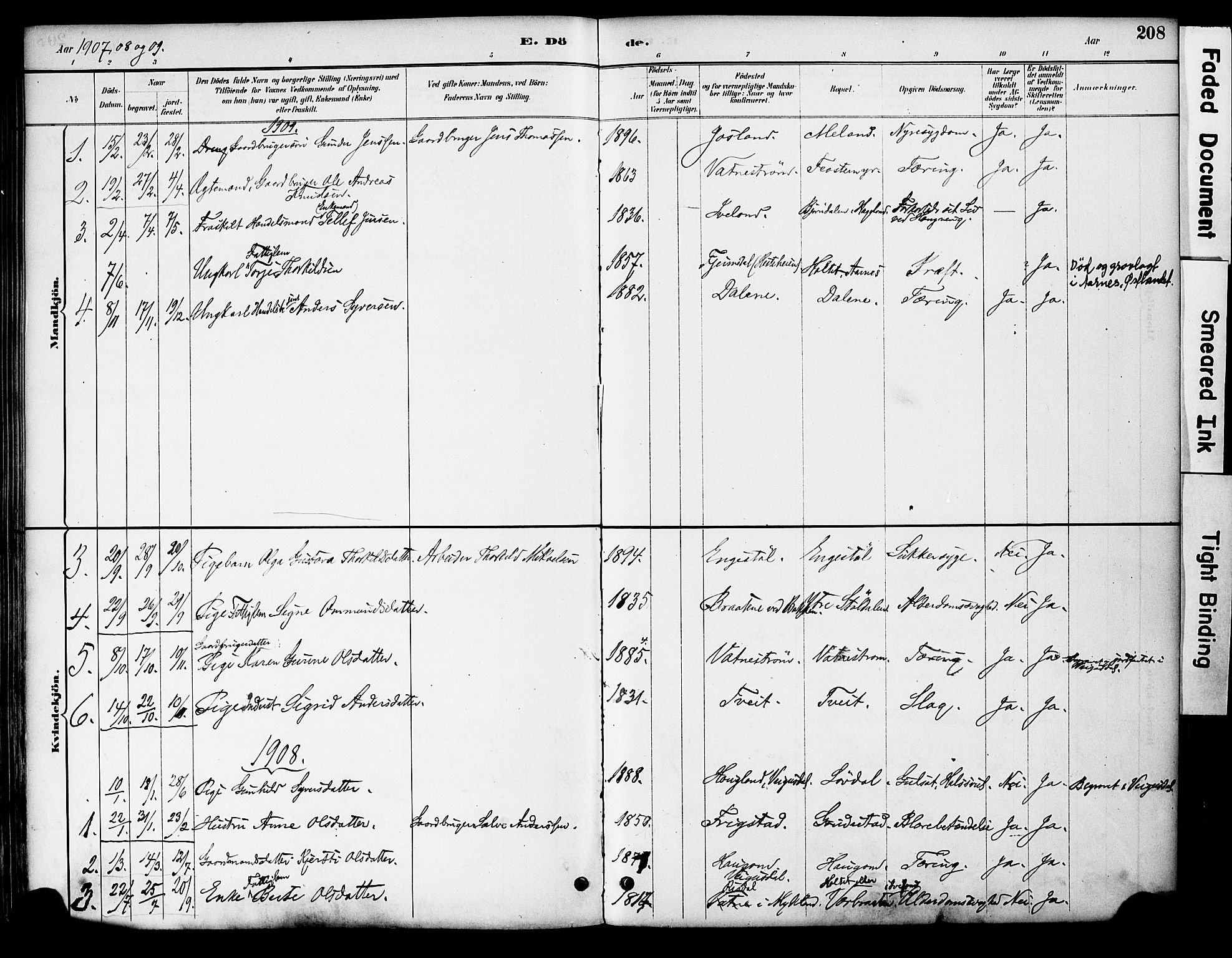 Evje sokneprestkontor, AV/SAK-1111-0008/F/Fa/Fac/L0003: Parish register (official) no. A 3, 1884-1909, p. 208