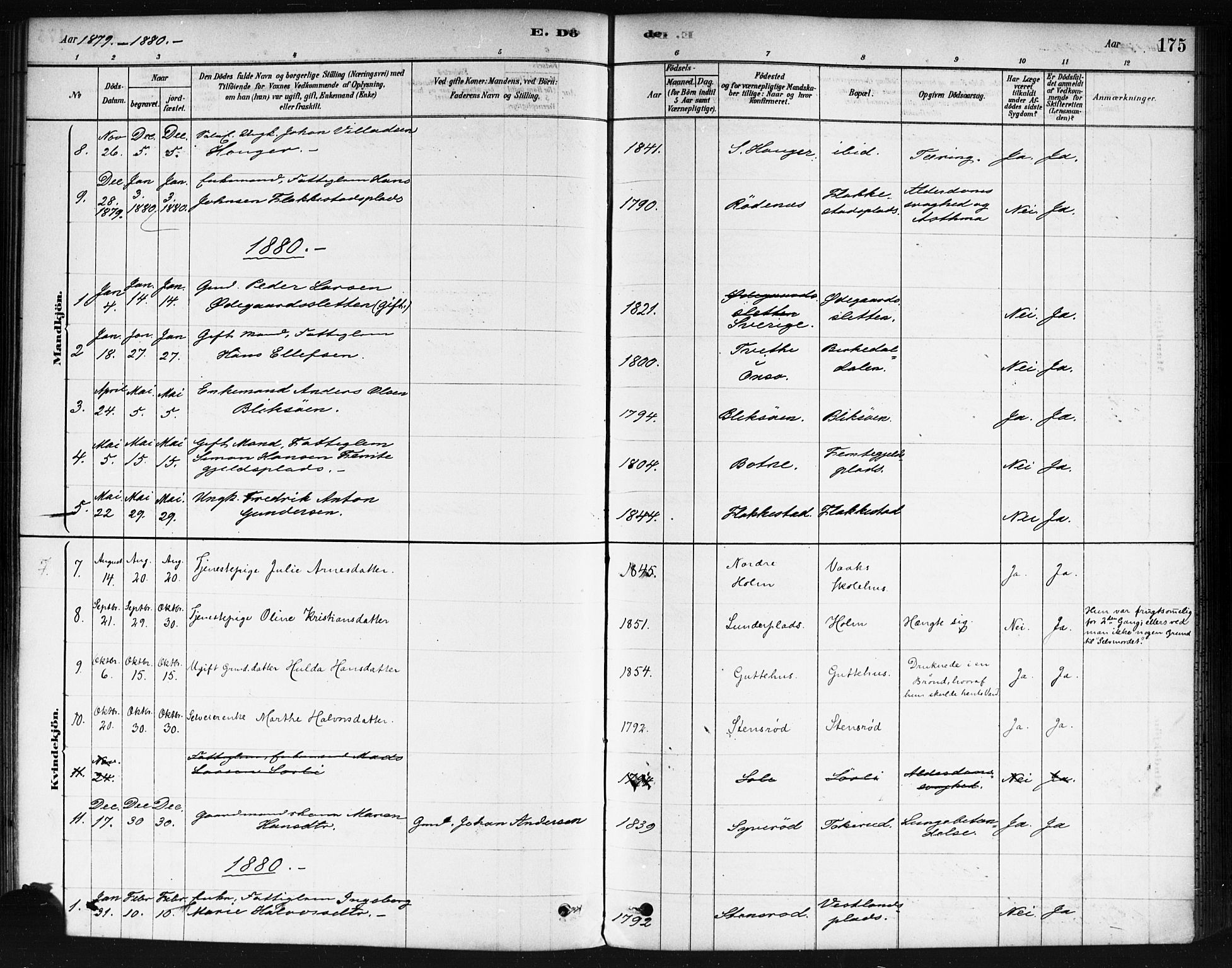 Våler prestekontor Kirkebøker, AV/SAO-A-11083/F/Fa/L0010: Parish register (official) no. I 10, 1878-1896, p. 175