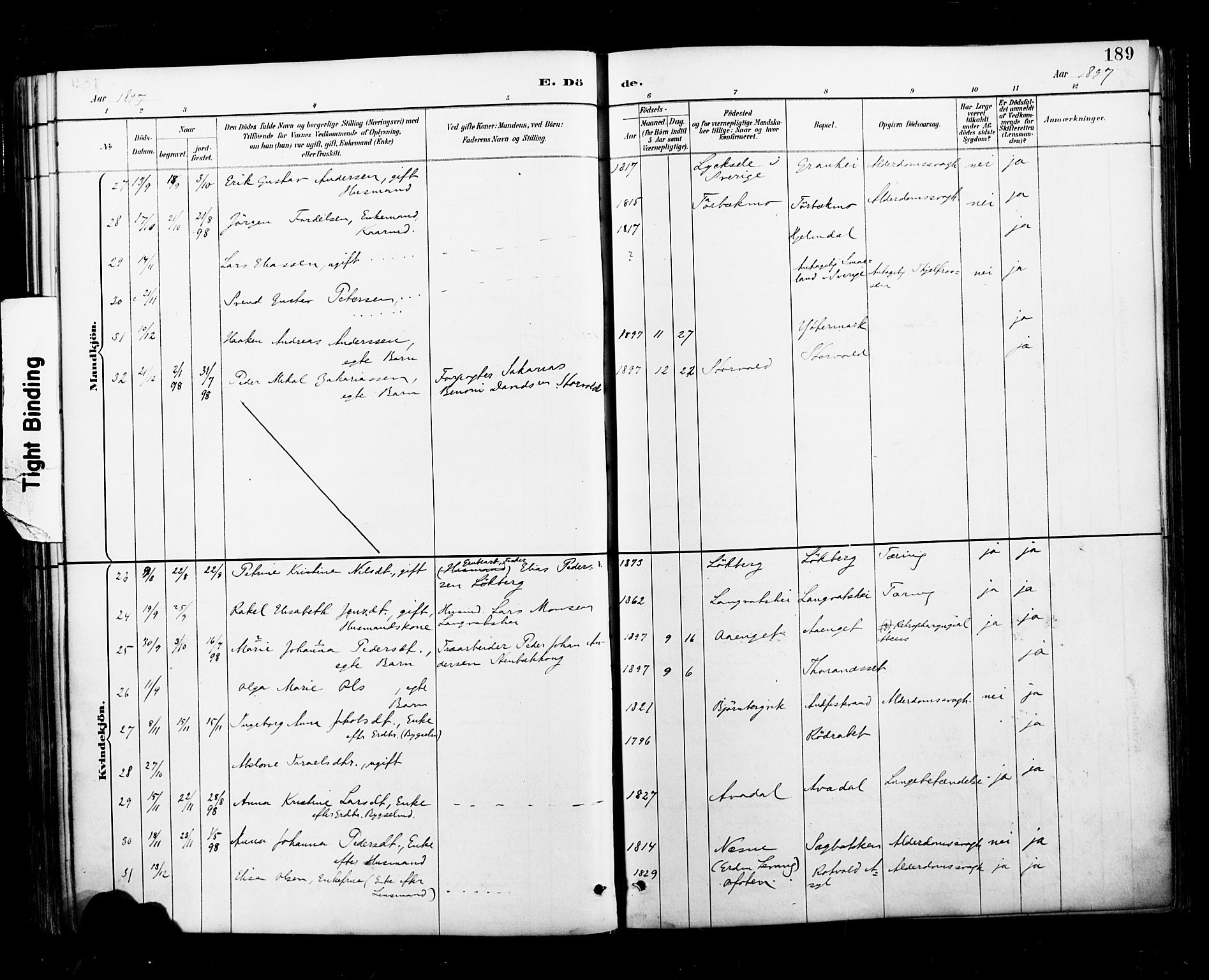 Ministerialprotokoller, klokkerbøker og fødselsregistre - Nordland, AV/SAT-A-1459/827/L0401: Parish register (official) no. 827A13, 1887-1905, p. 189