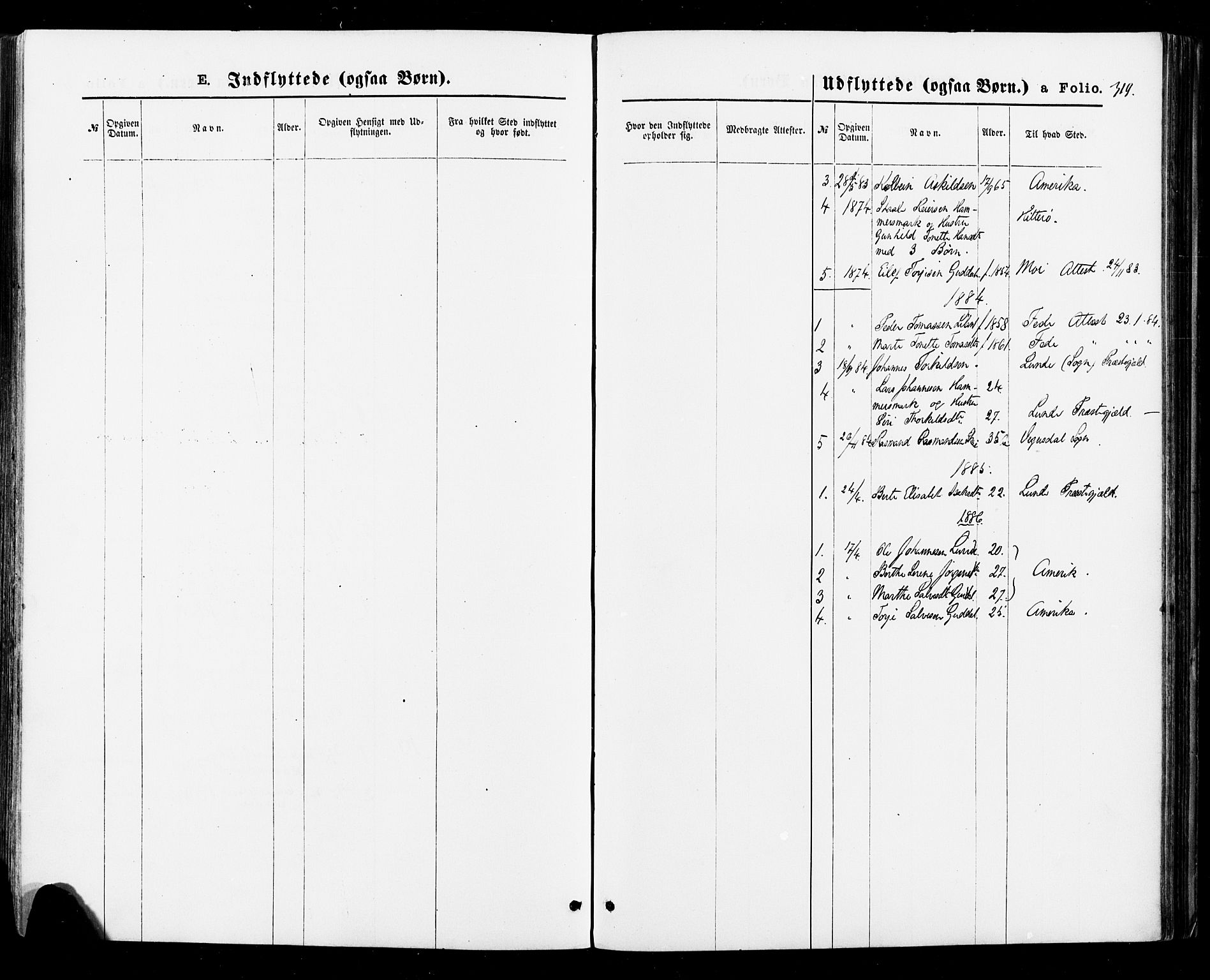 Sirdal sokneprestkontor, AV/SAK-1111-0036/F/Fa/Fab/L0003: Parish register (official) no. A 3, 1874-1886, p. 319