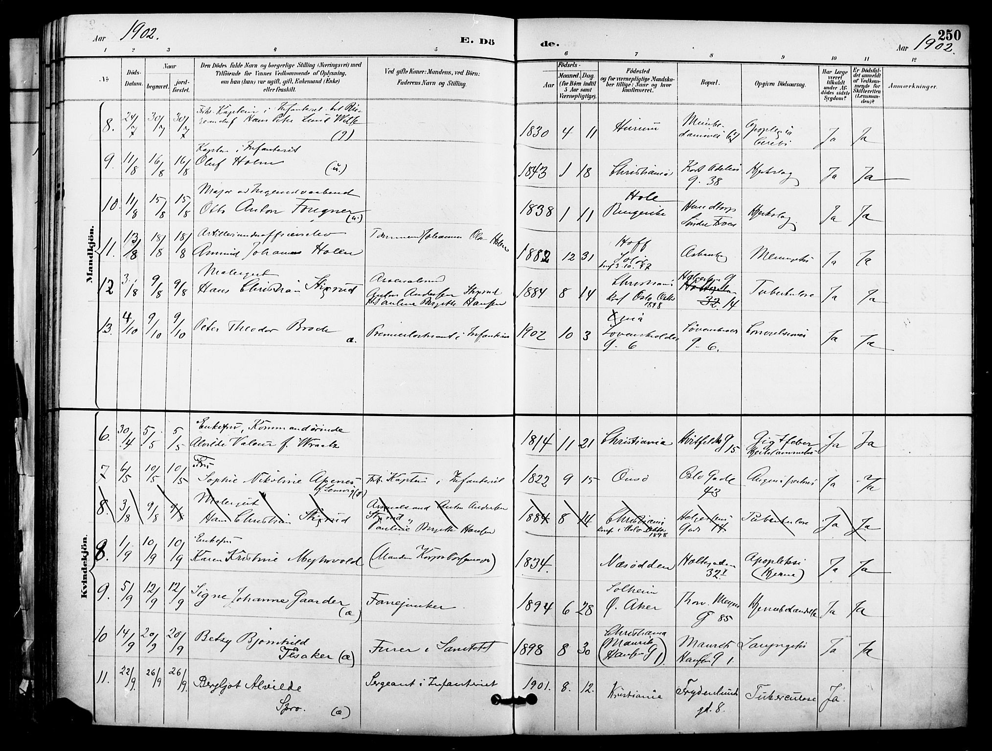 Garnisonsmenigheten Kirkebøker, SAO/A-10846/F/Fa/L0013: Parish register (official) no. 13, 1894-1904, p. 250