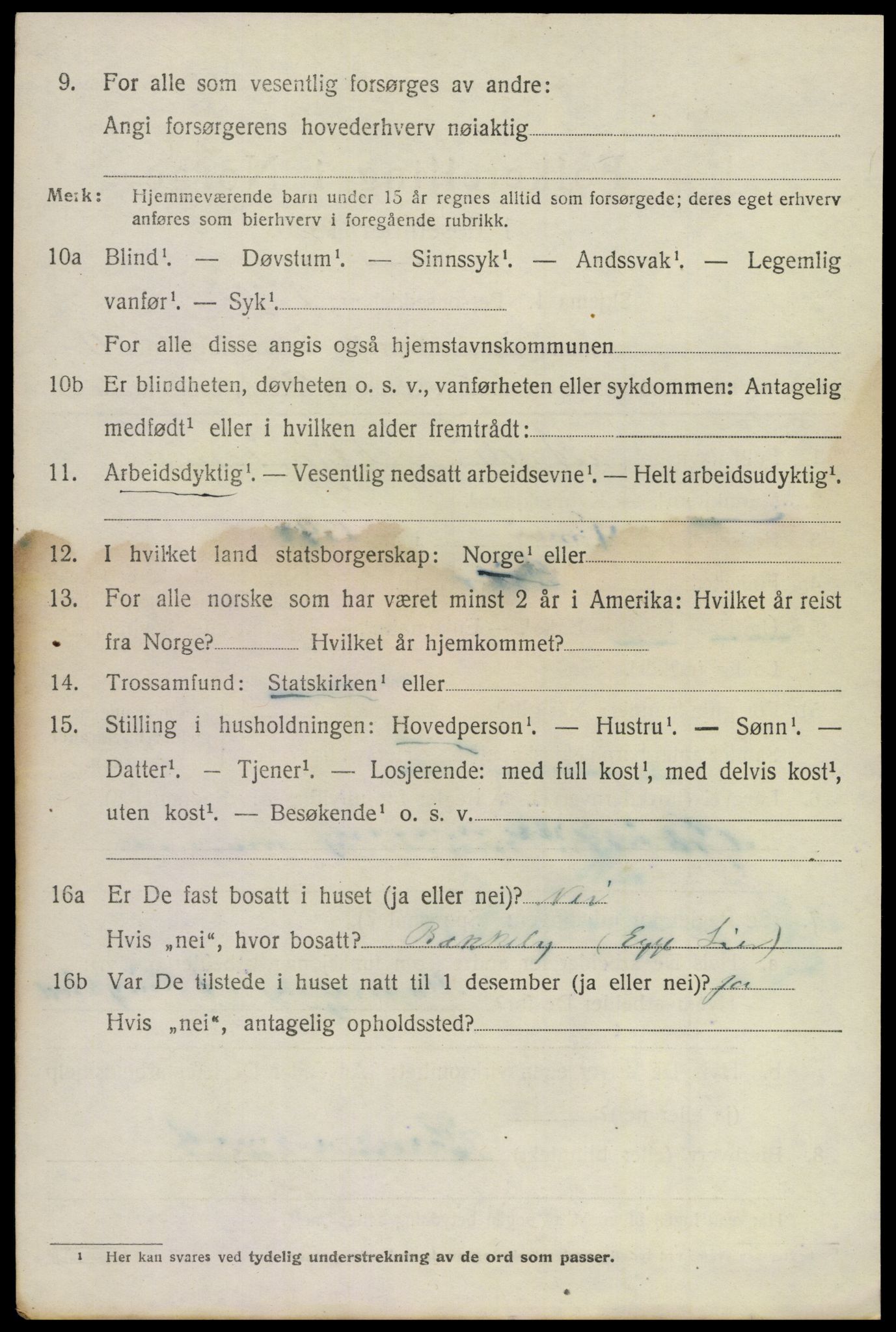 SAKO, 1920 census for Lier, 1920, p. 17251