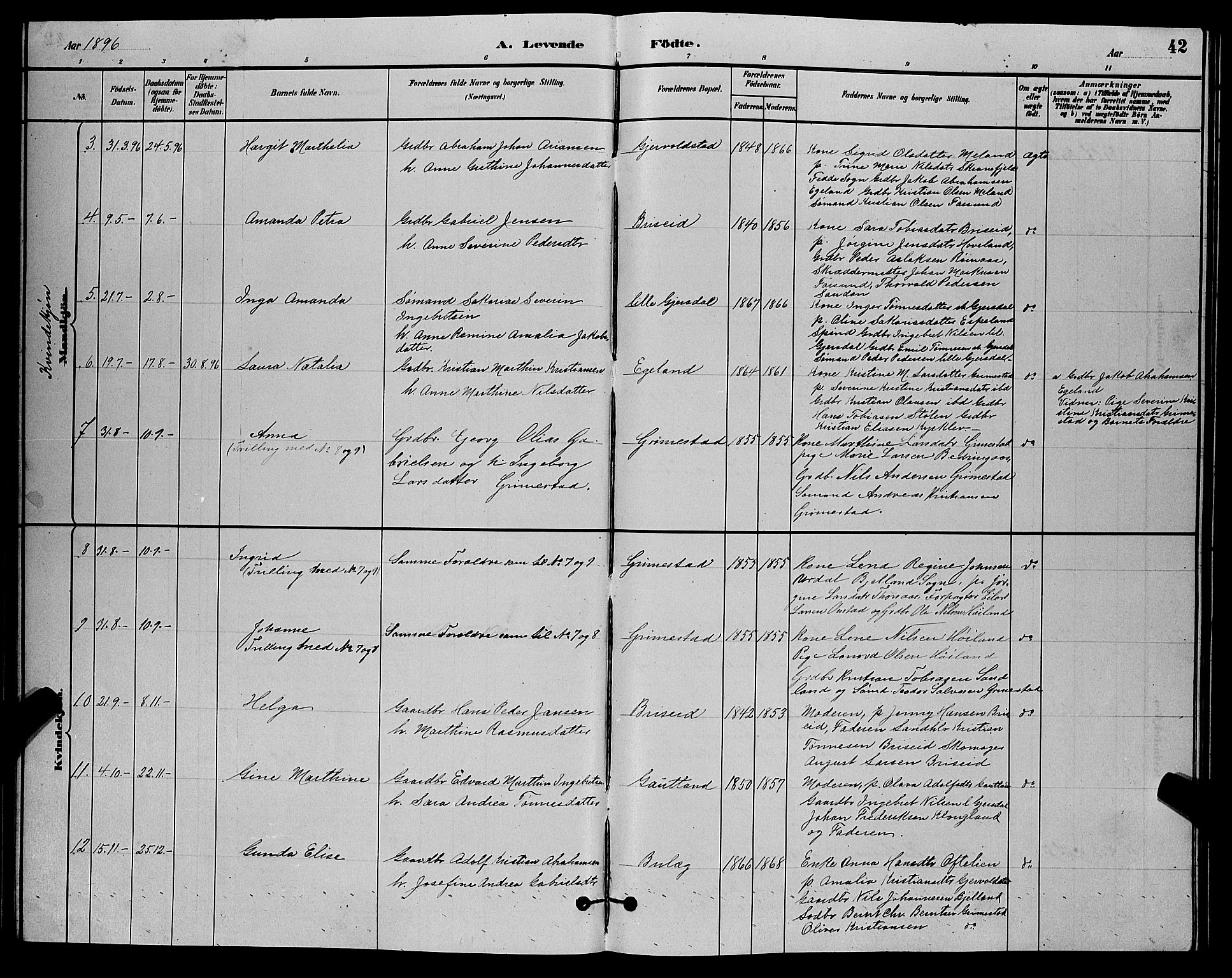 Herad sokneprestkontor, AV/SAK-1111-0018/F/Fb/Fba/L0004: Parish register (copy) no. B 4, 1882-1899, p. 42